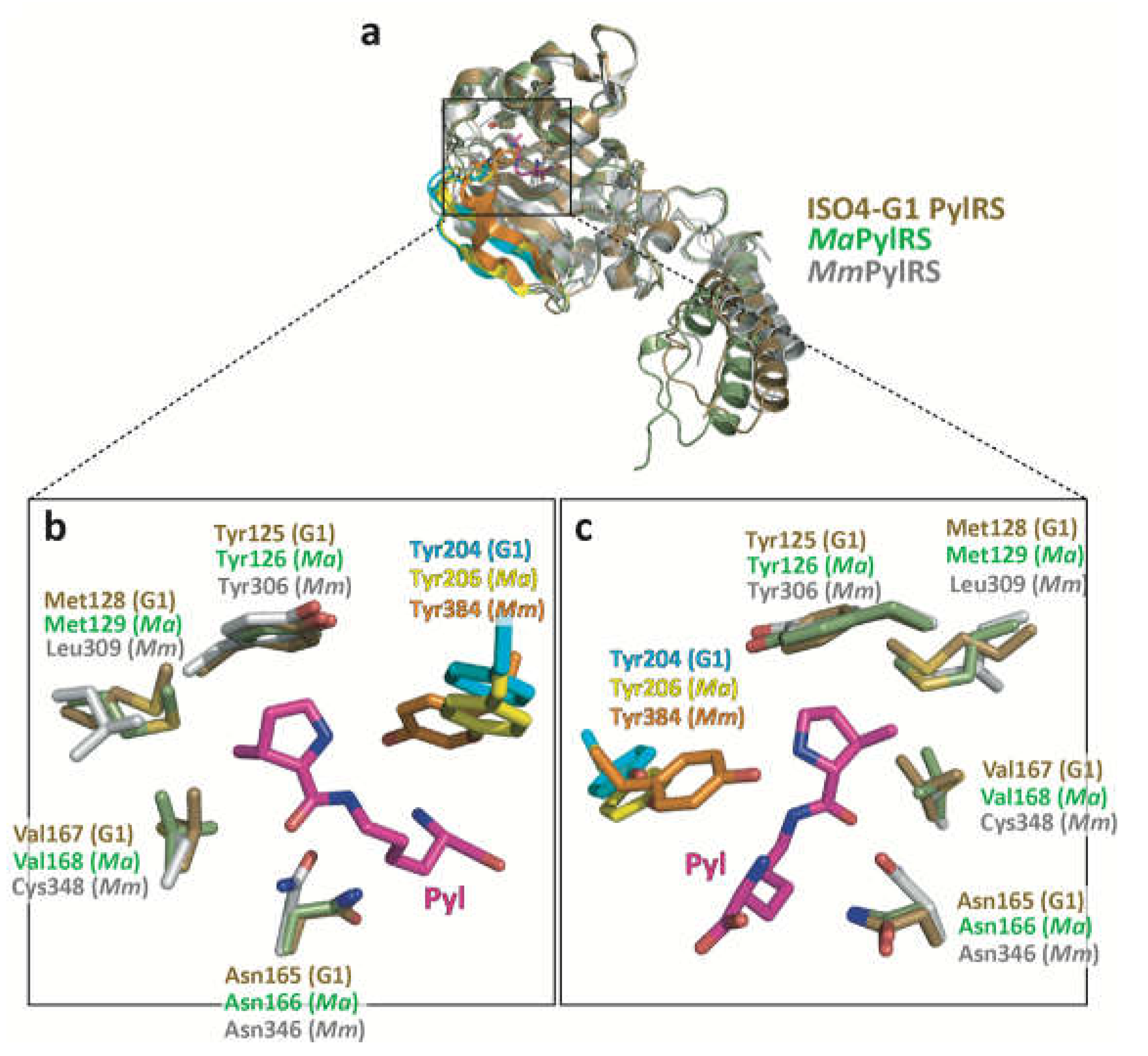 Preprints 68993 g003