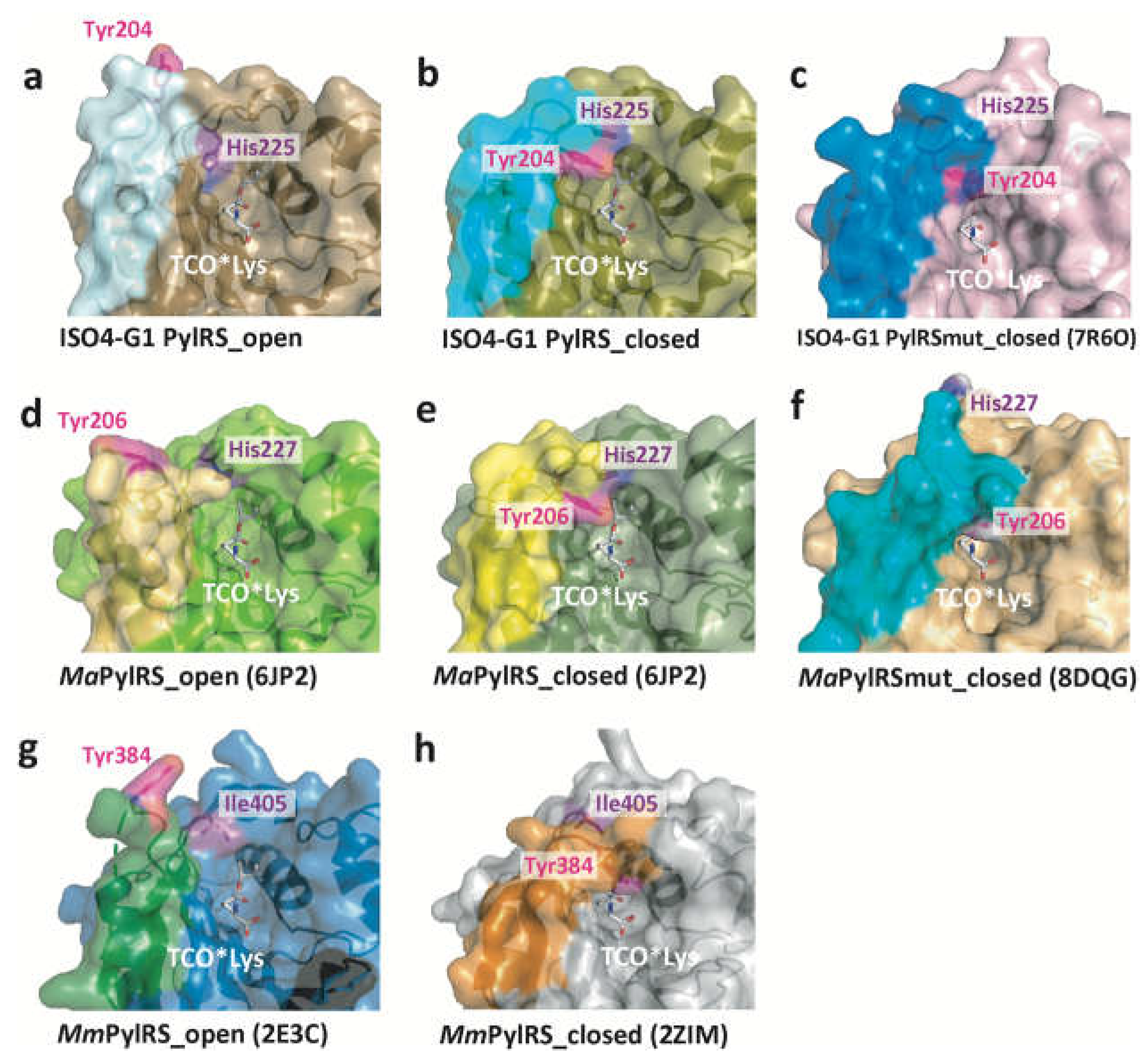 Preprints 68993 g004