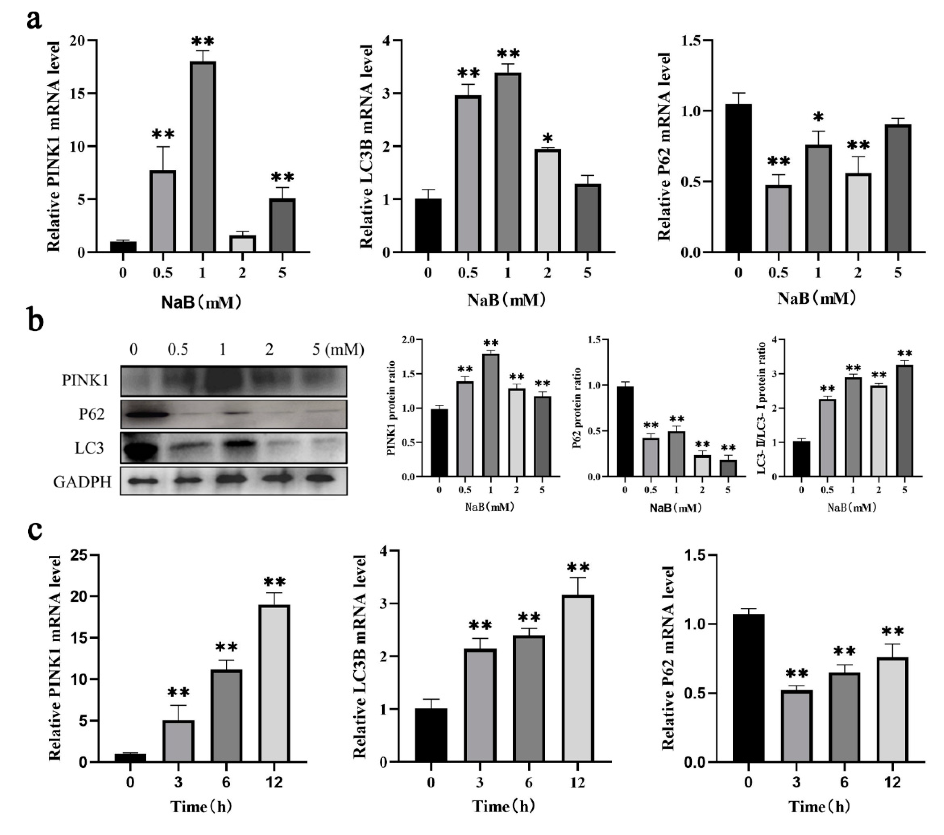 Preprints 80078 g002