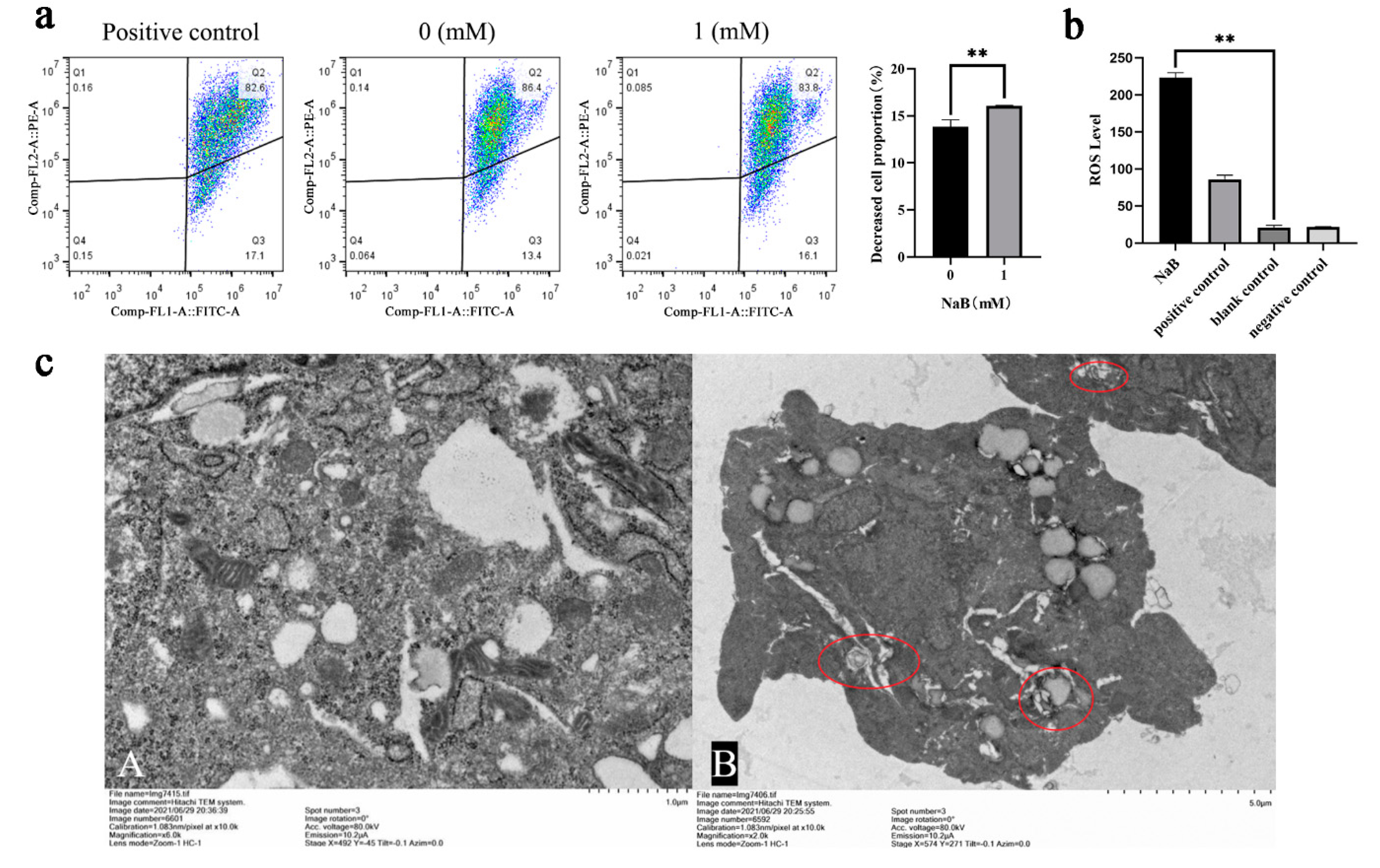 Preprints 80078 g003