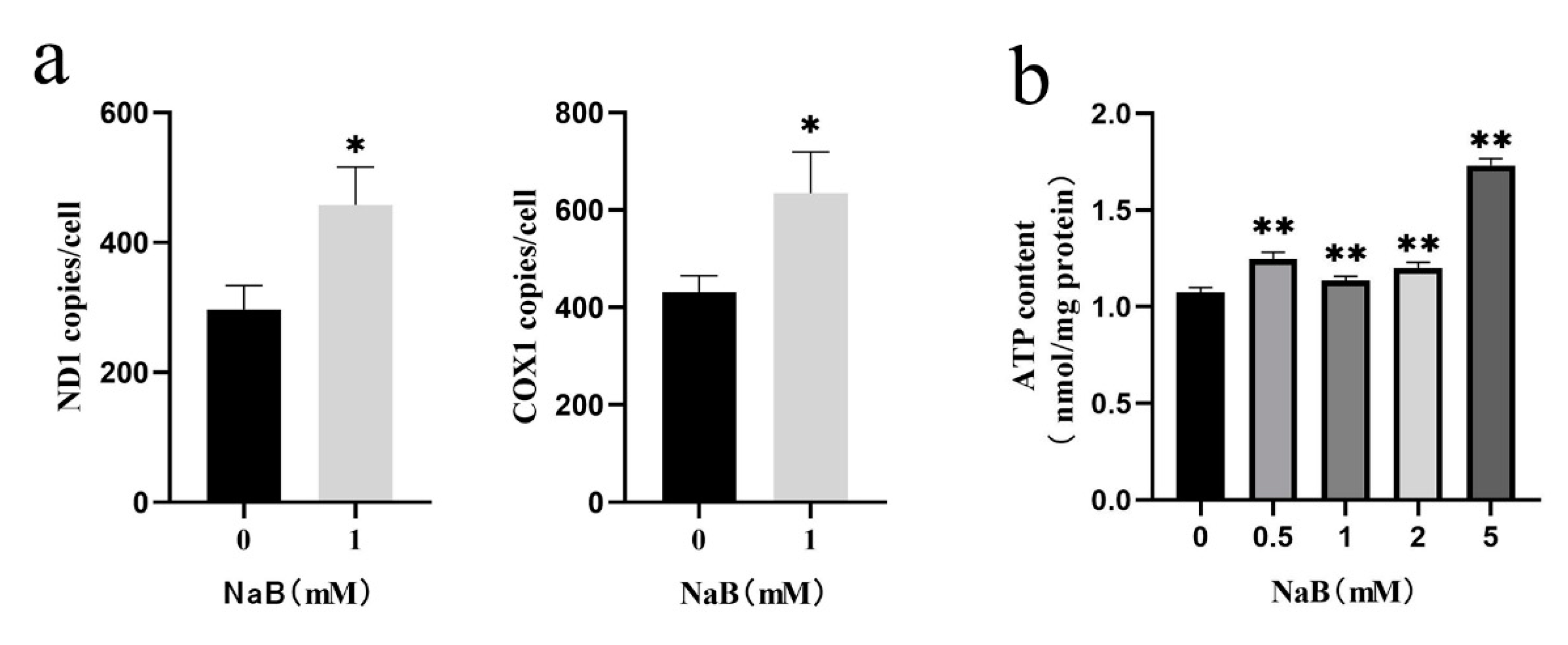 Preprints 80078 g004