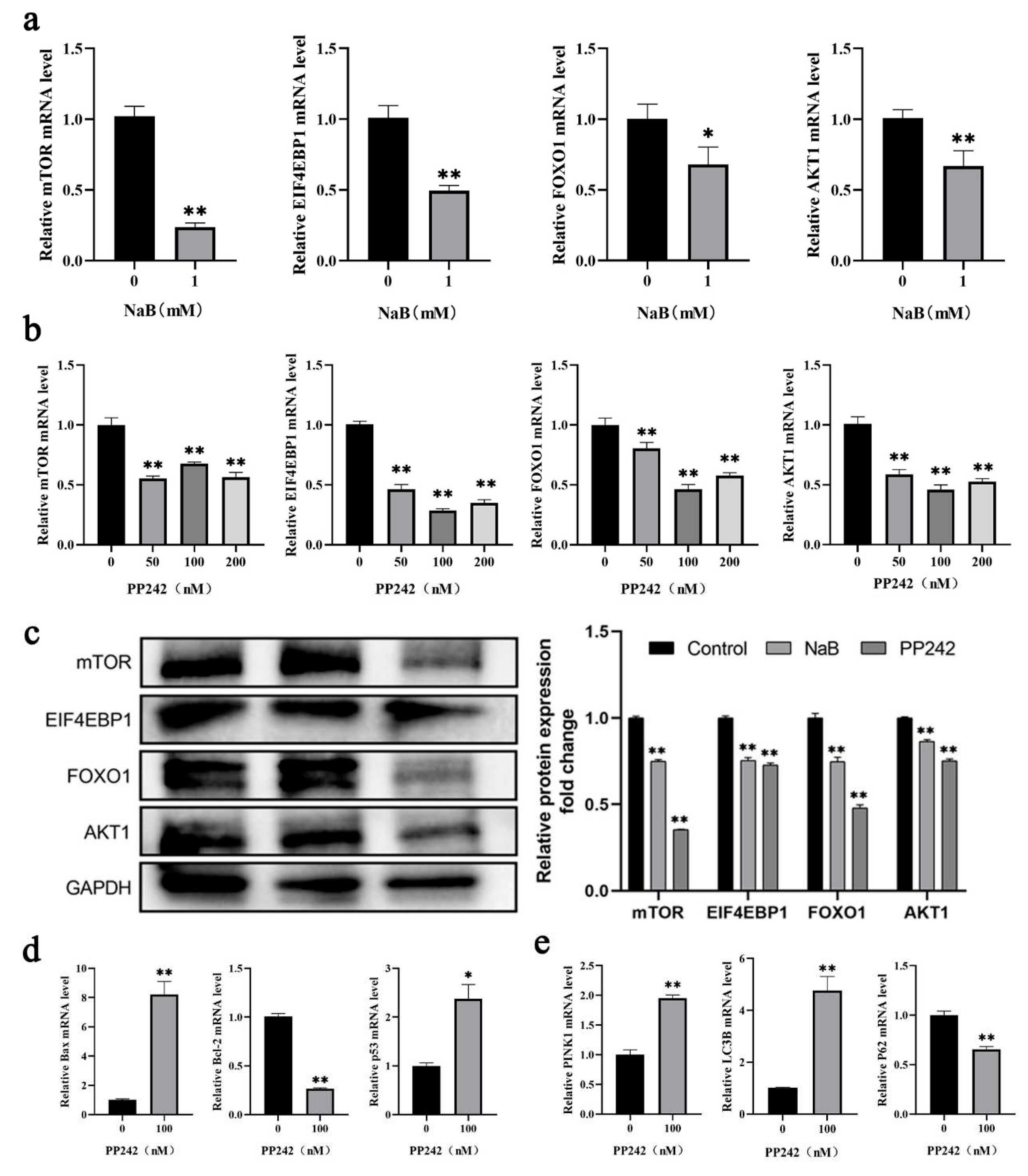 Preprints 80078 g005