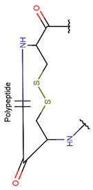 Preprints 107225 i021