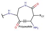 Preprints 107225 i026