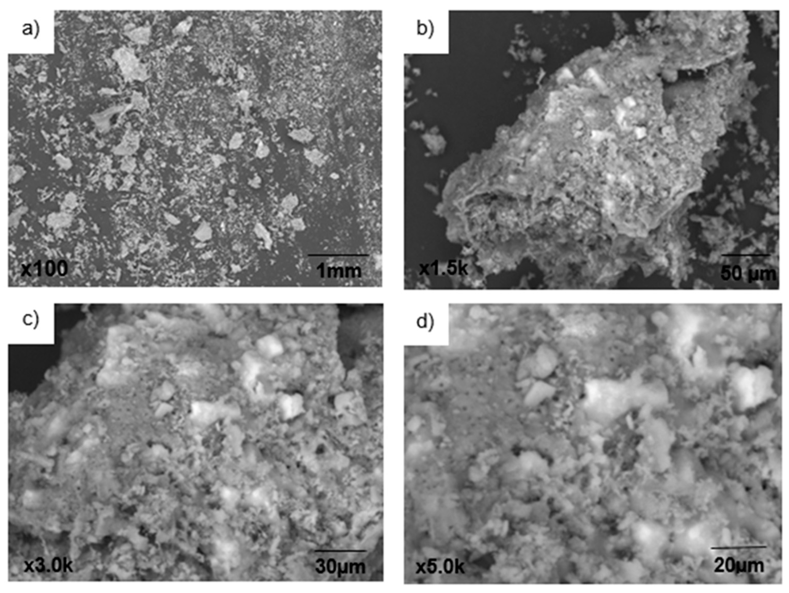 Preprints 100049 g003