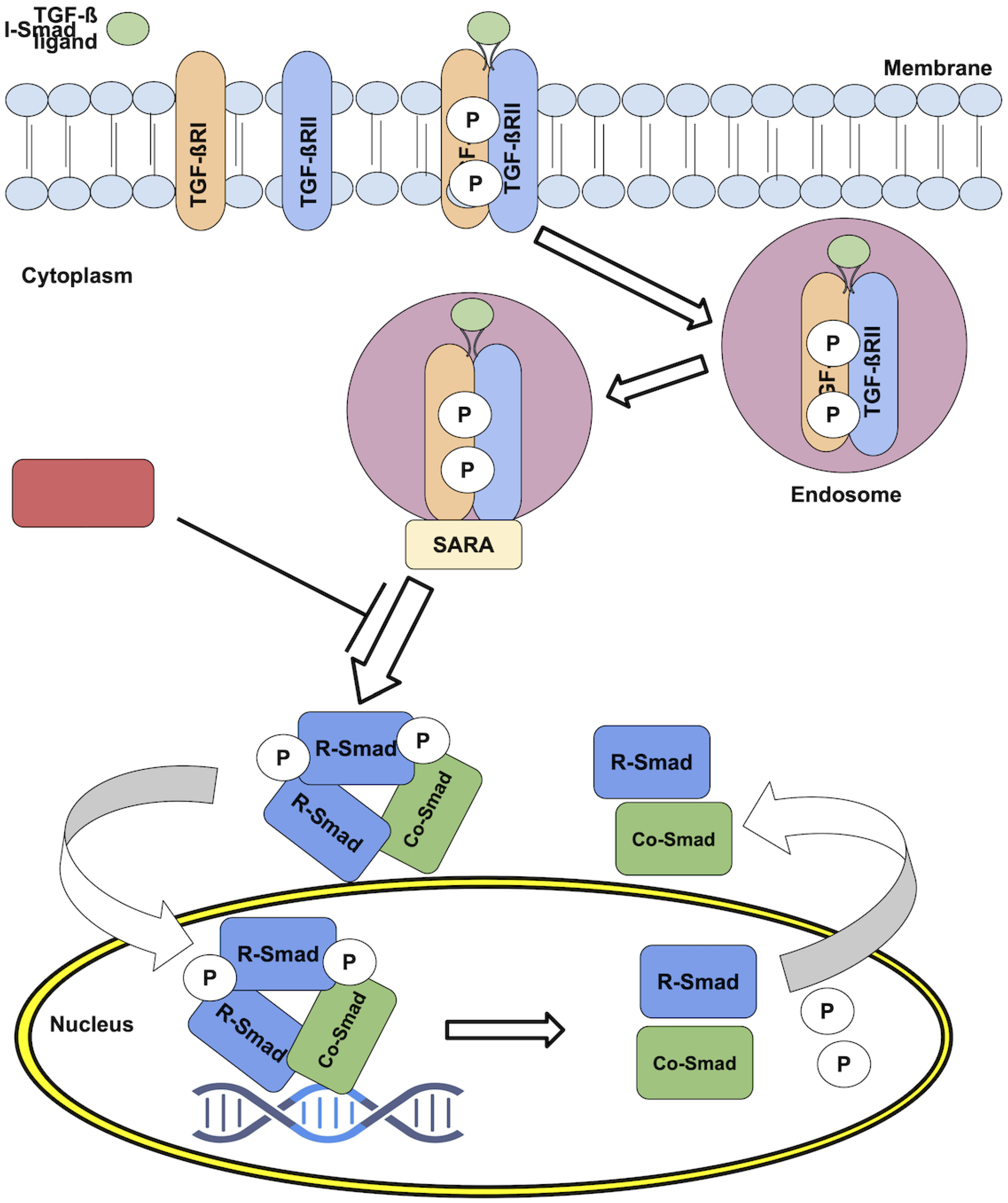 Preprints 120111 g001