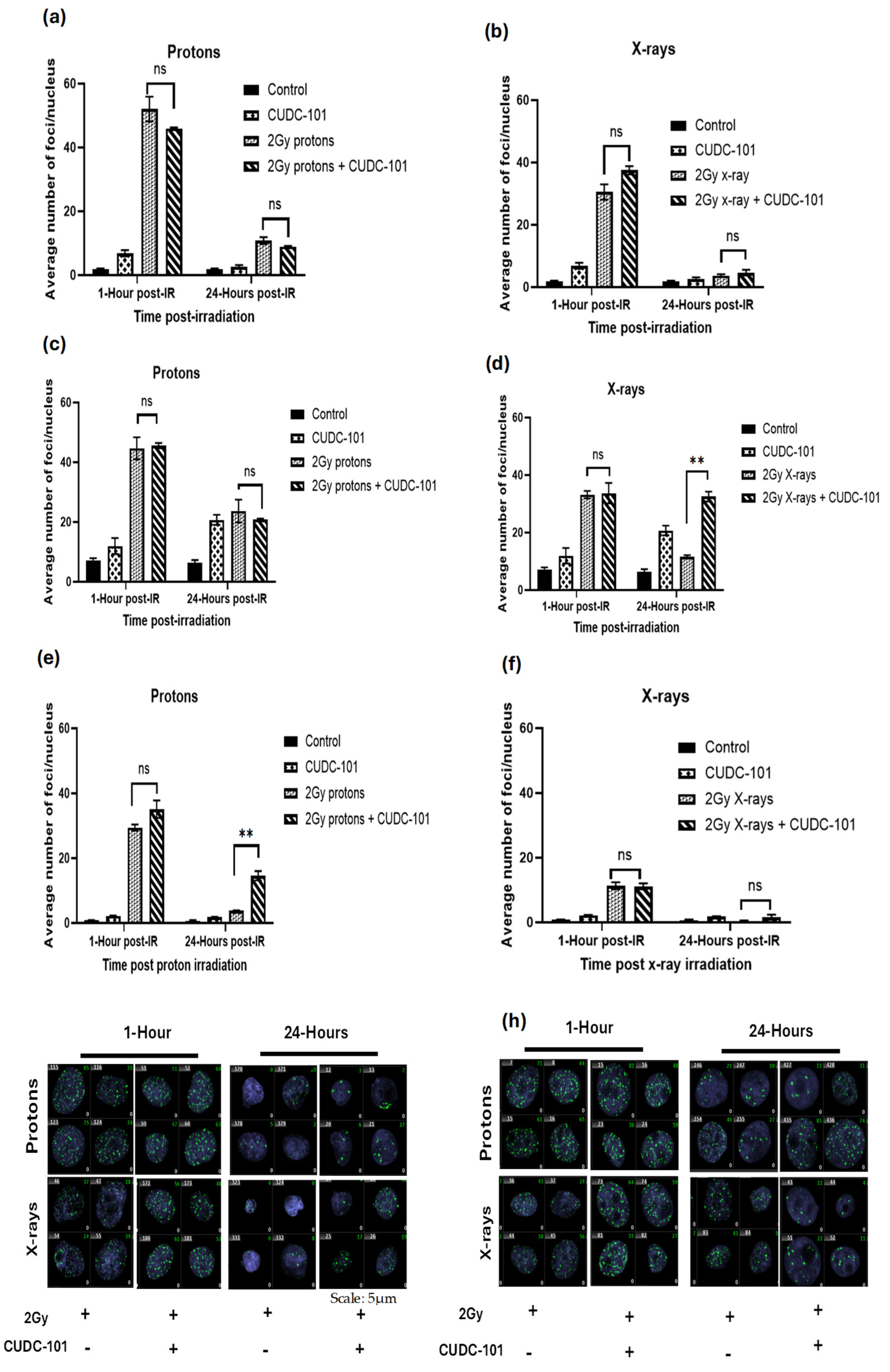 Preprints 120315 g003