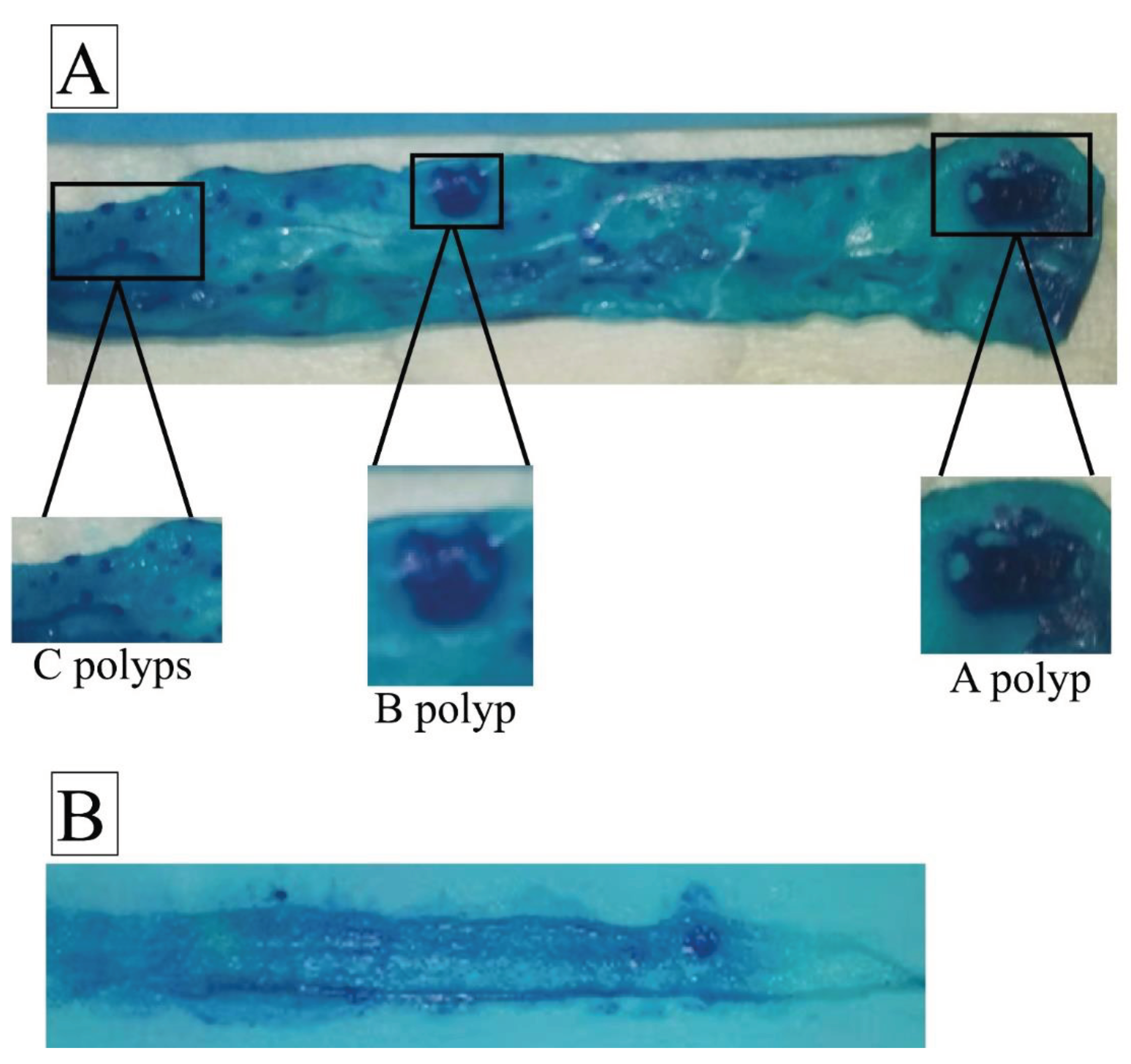 Preprints 102667 g006