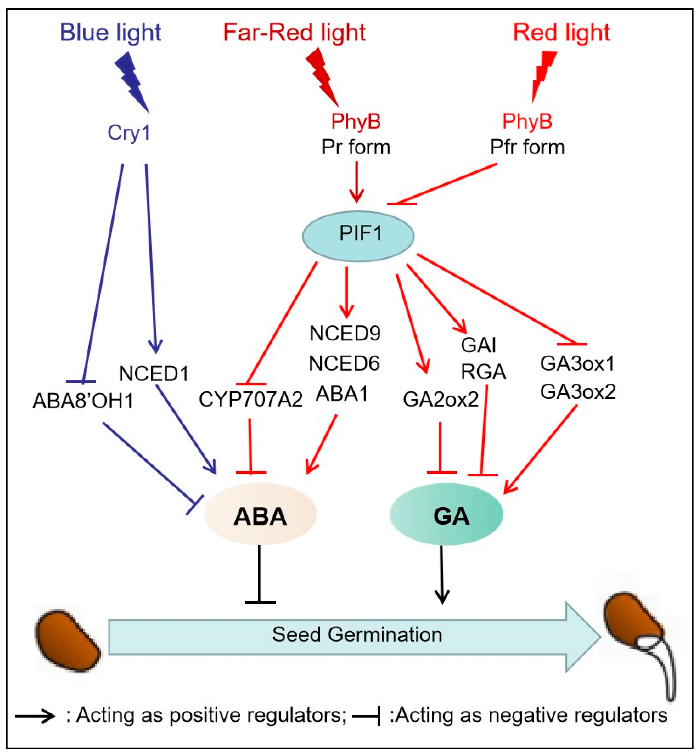 Preprints 77416 g002