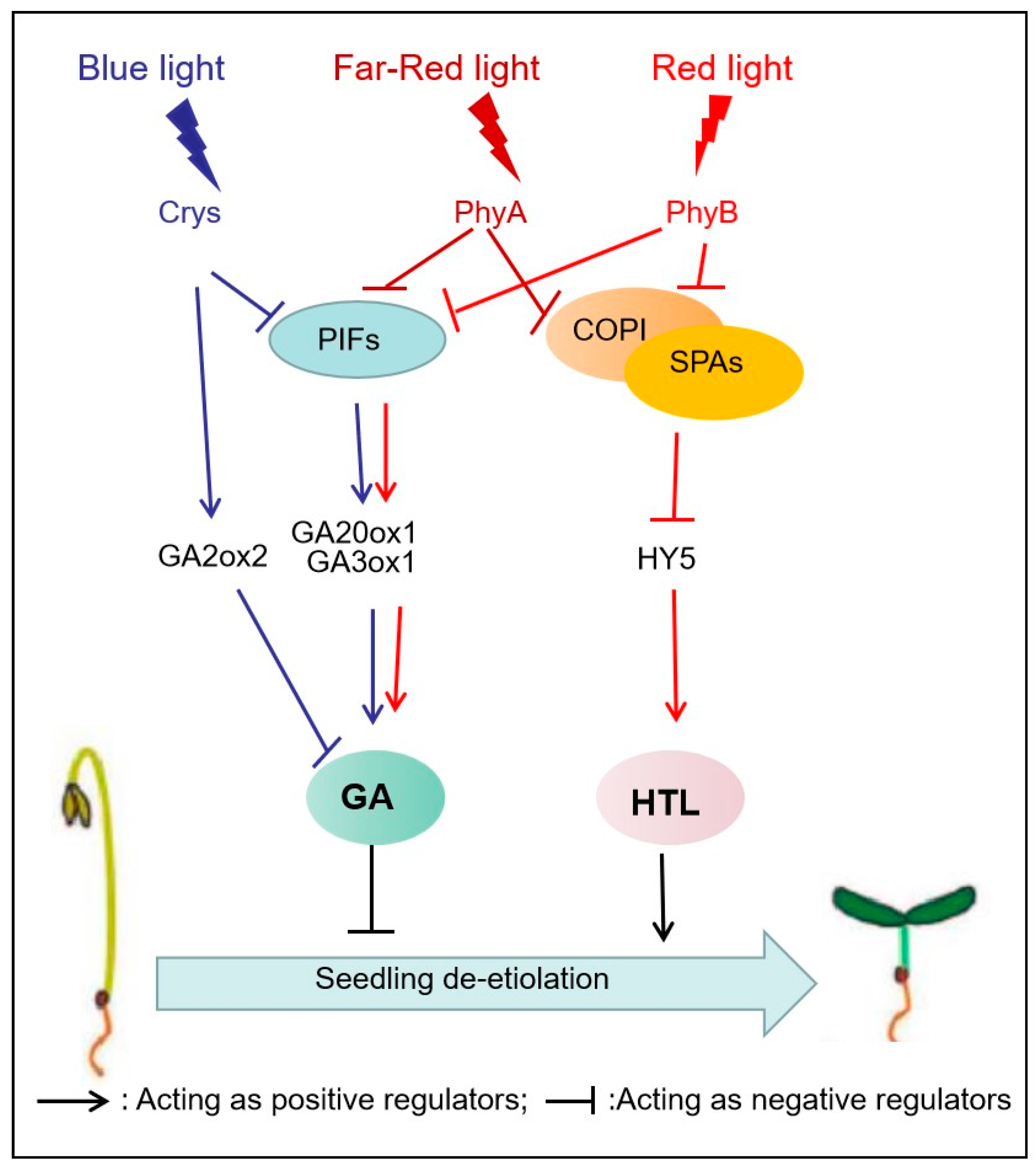 Preprints 77416 g003