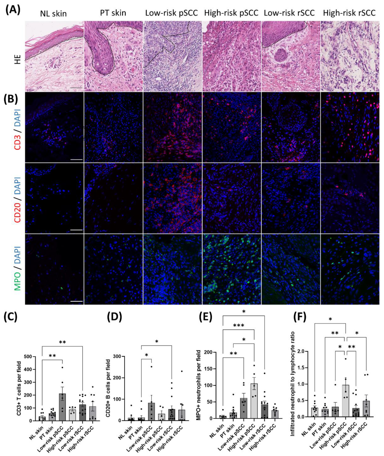 Preprints 107590 g003