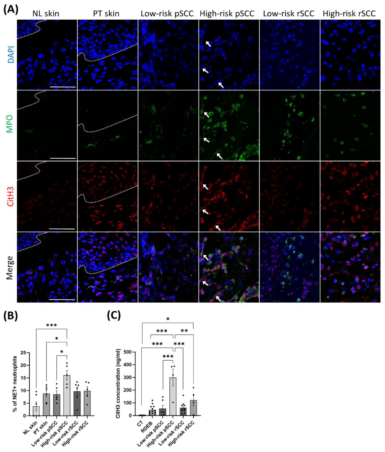 Preprints 107590 g004