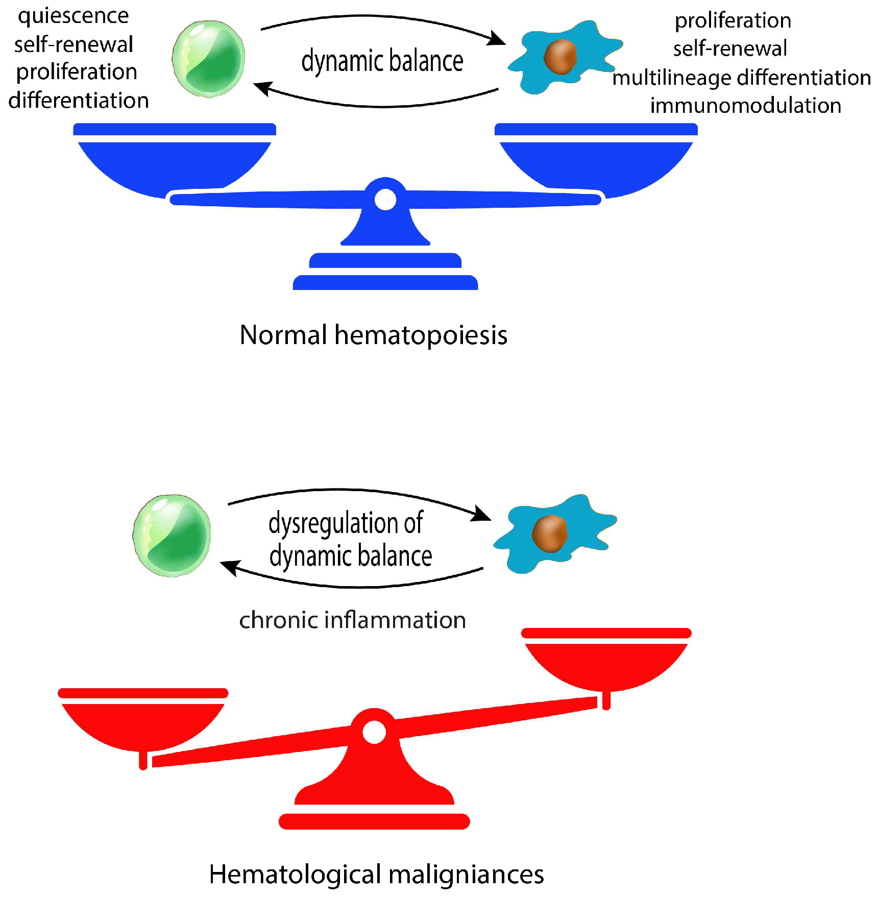 Preprints 89280 g001