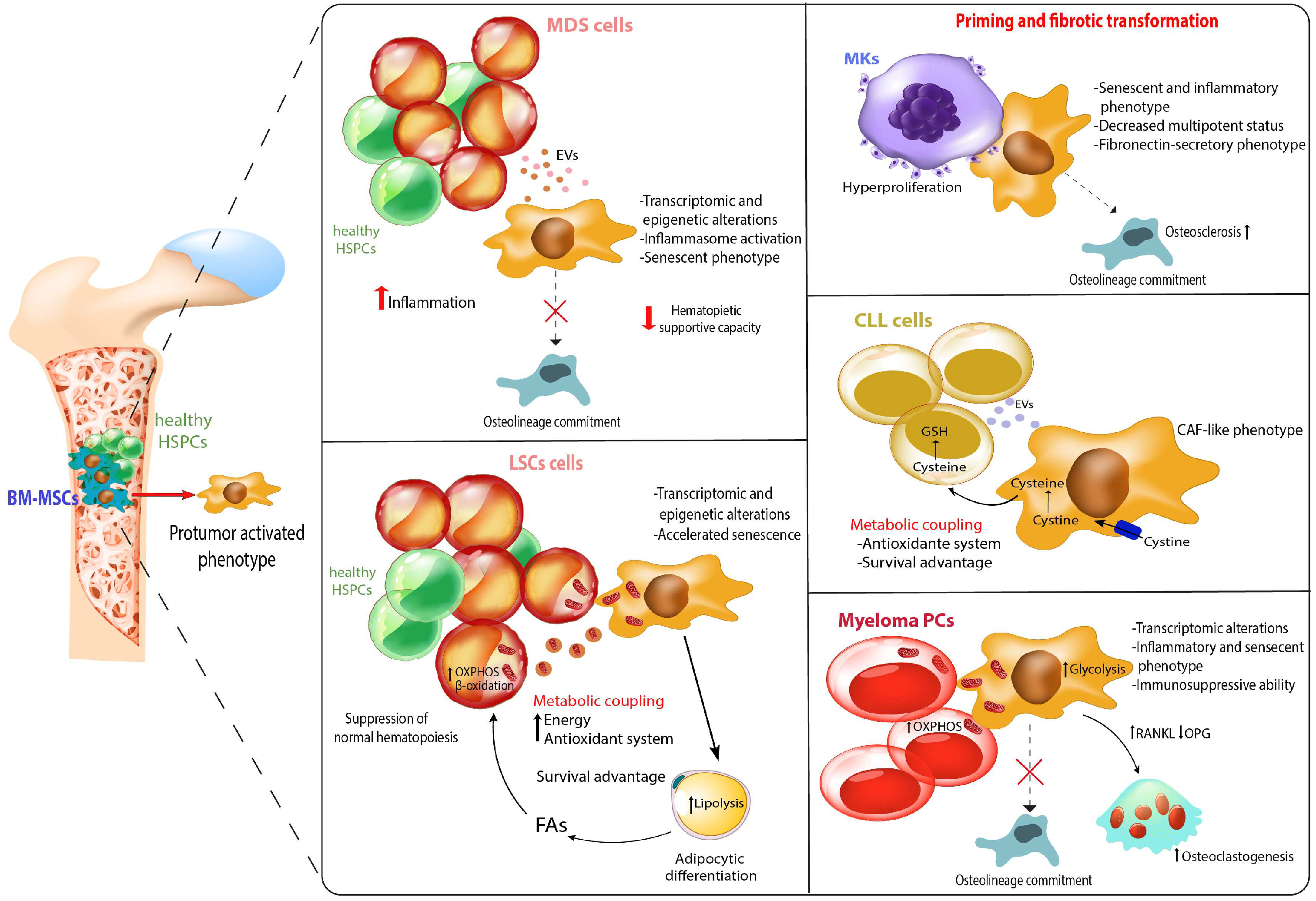 Preprints 89280 g002