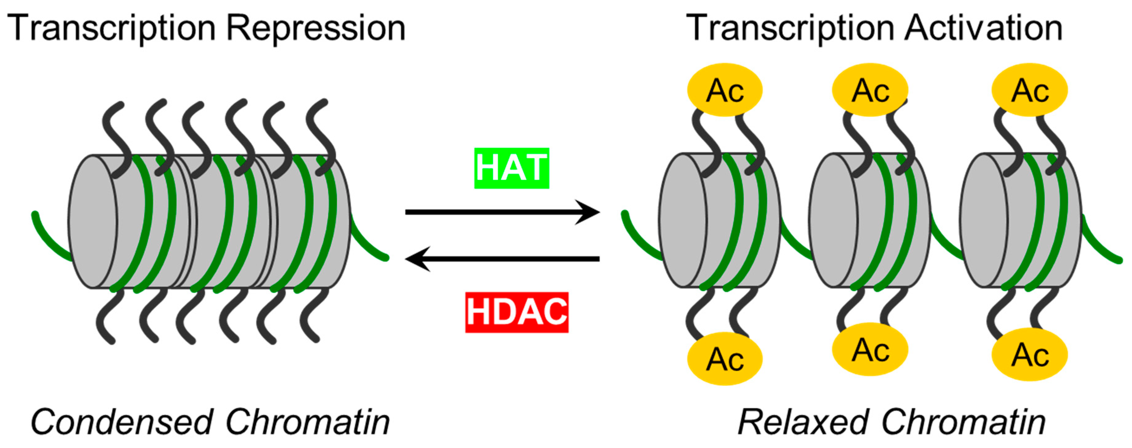 Preprints 95155 g001