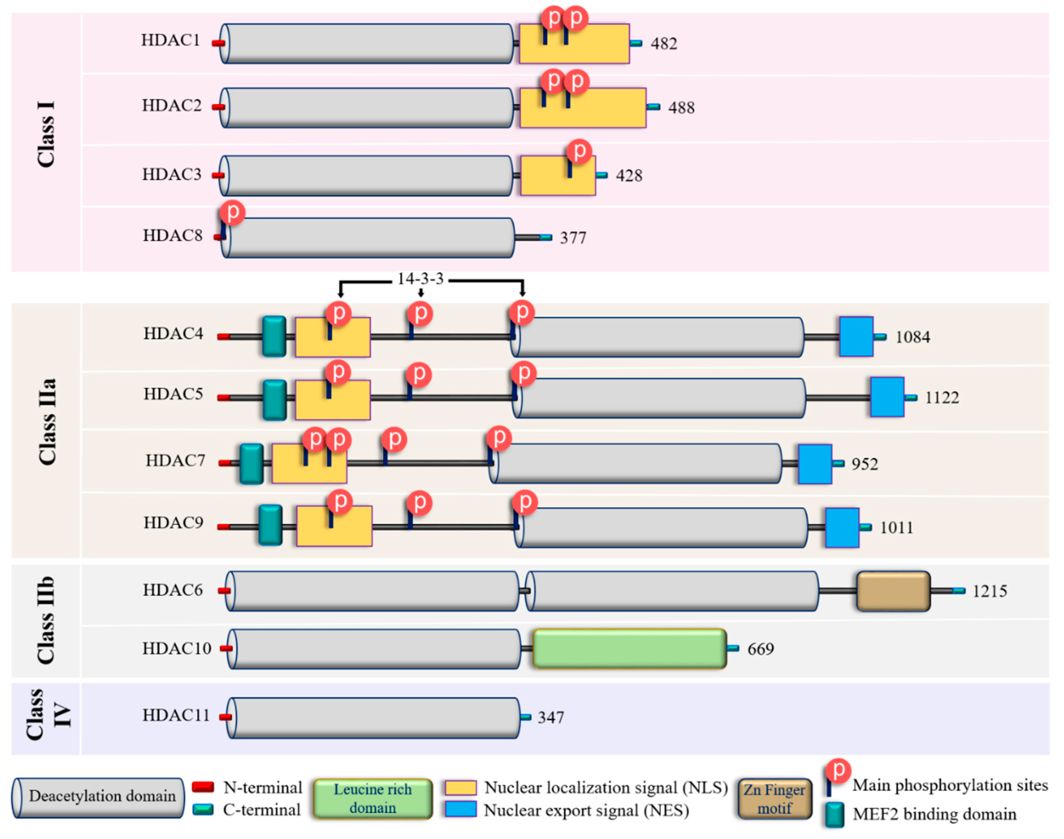 Preprints 95155 g002