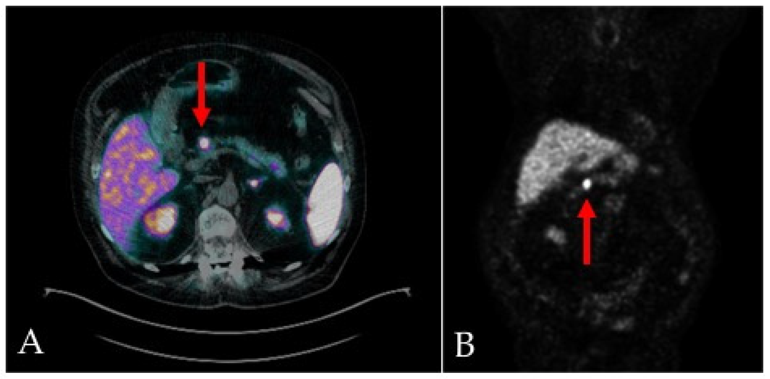 Preprints 85166 g002