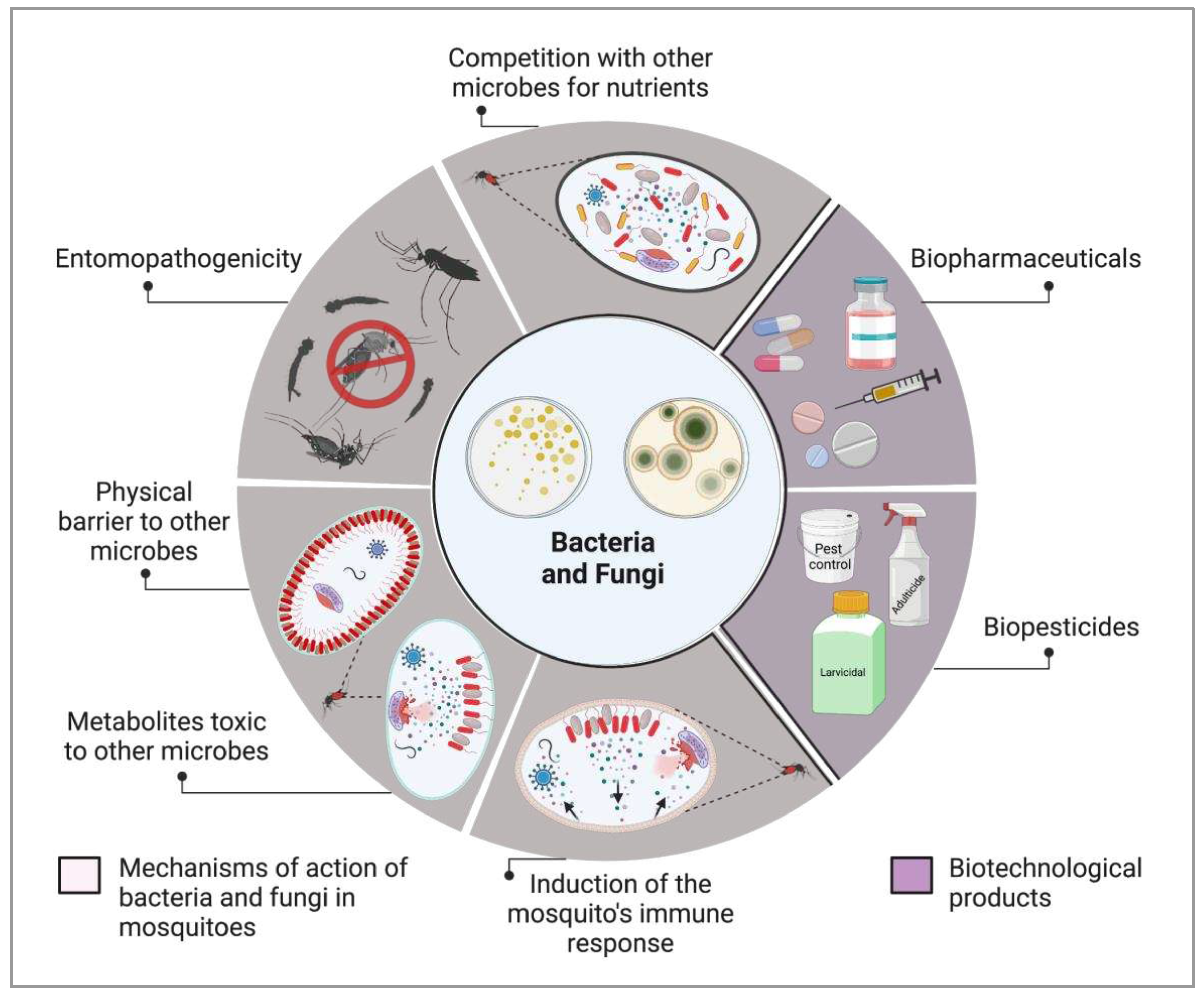 Preprints 77745 g001