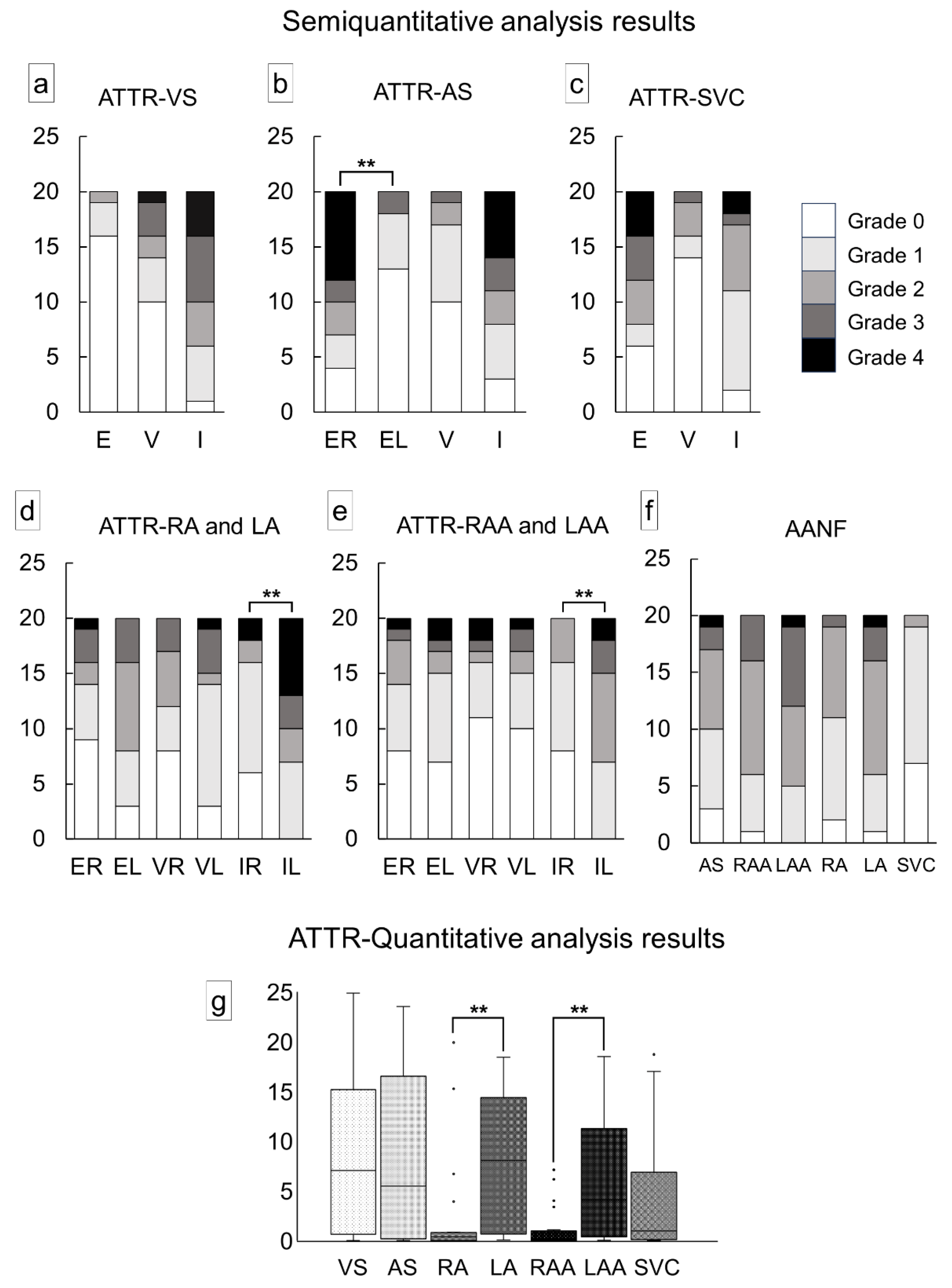 Preprints 111308 g002