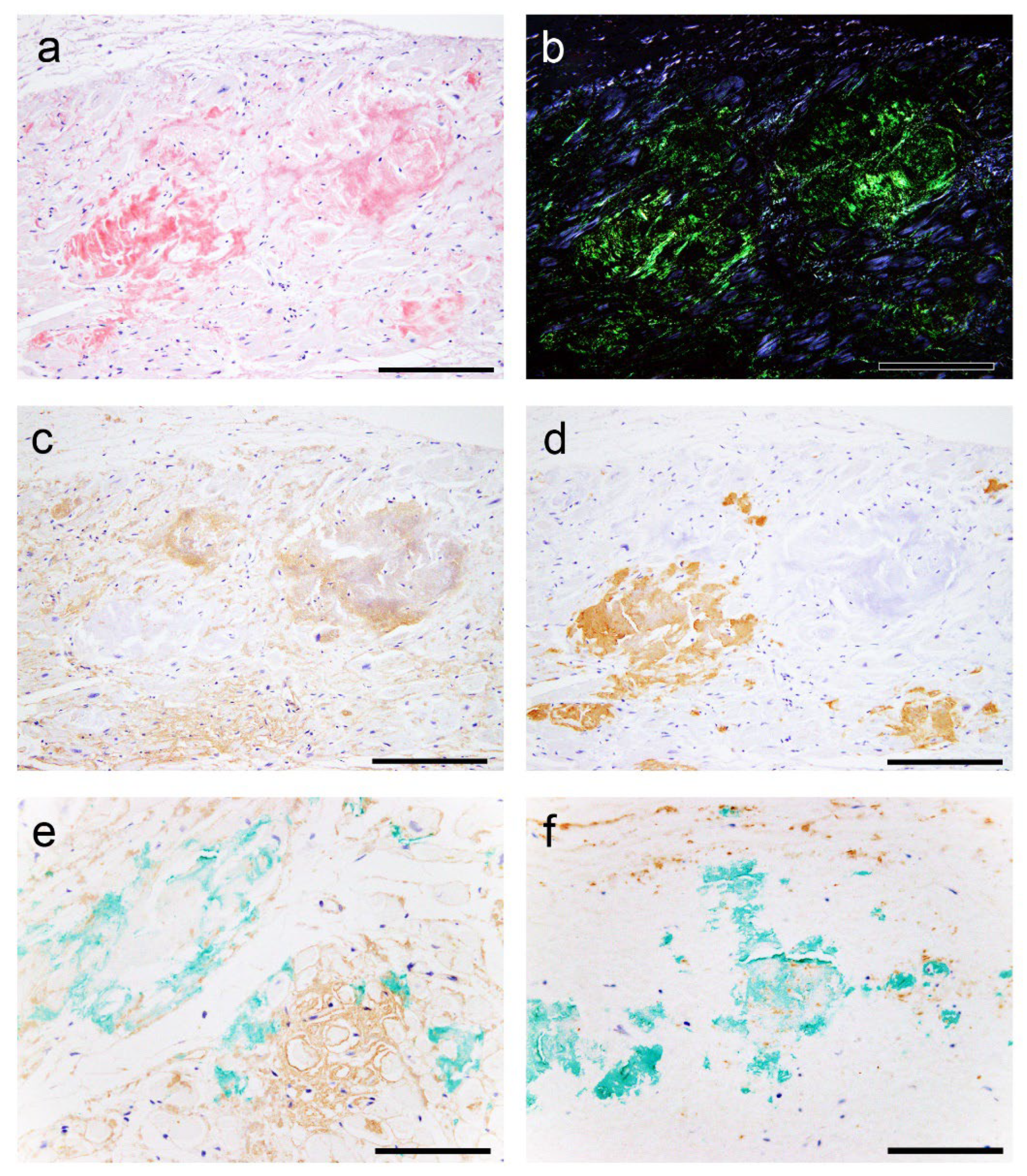 Preprints 111308 g004