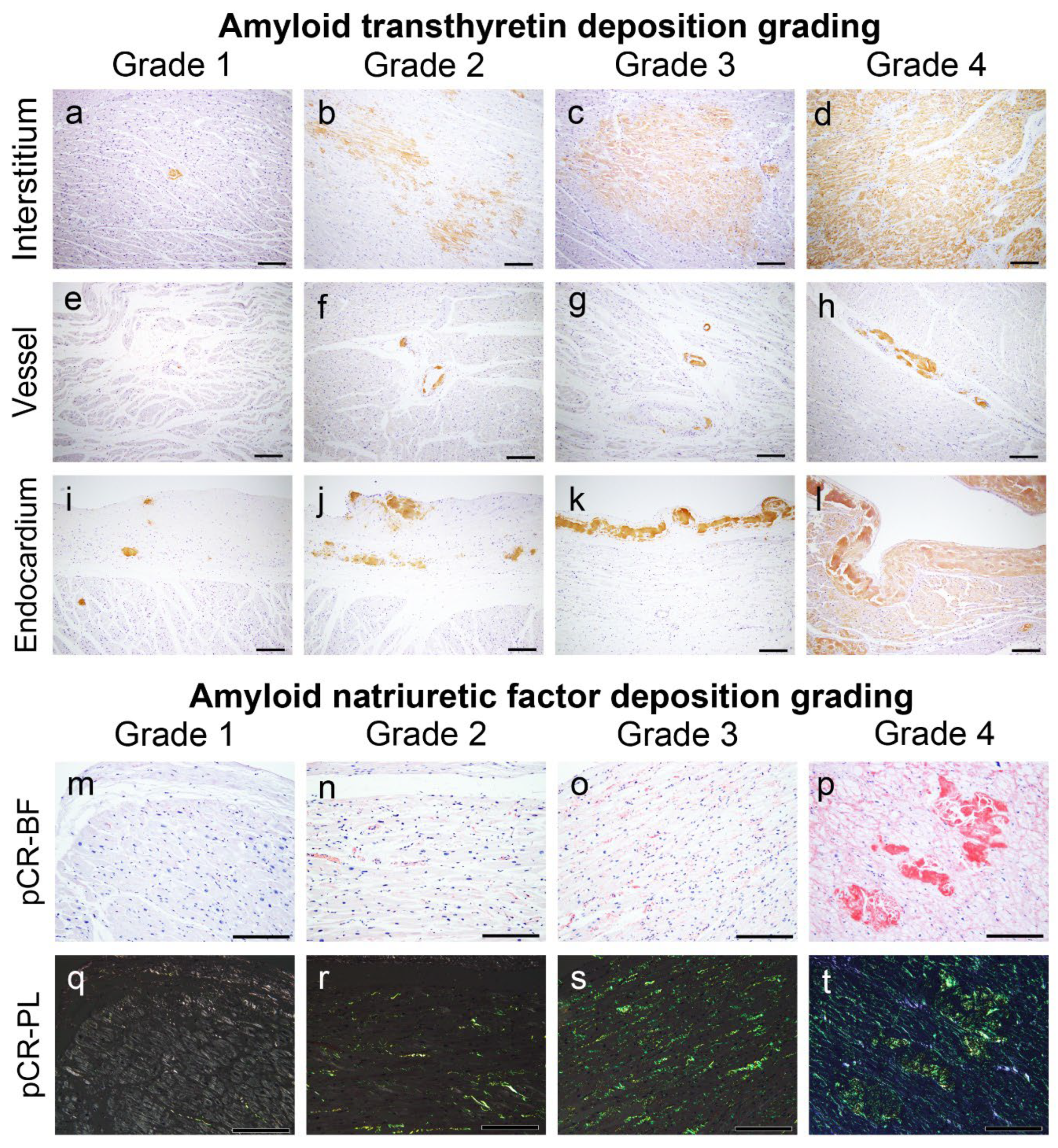 Preprints 111308 g006