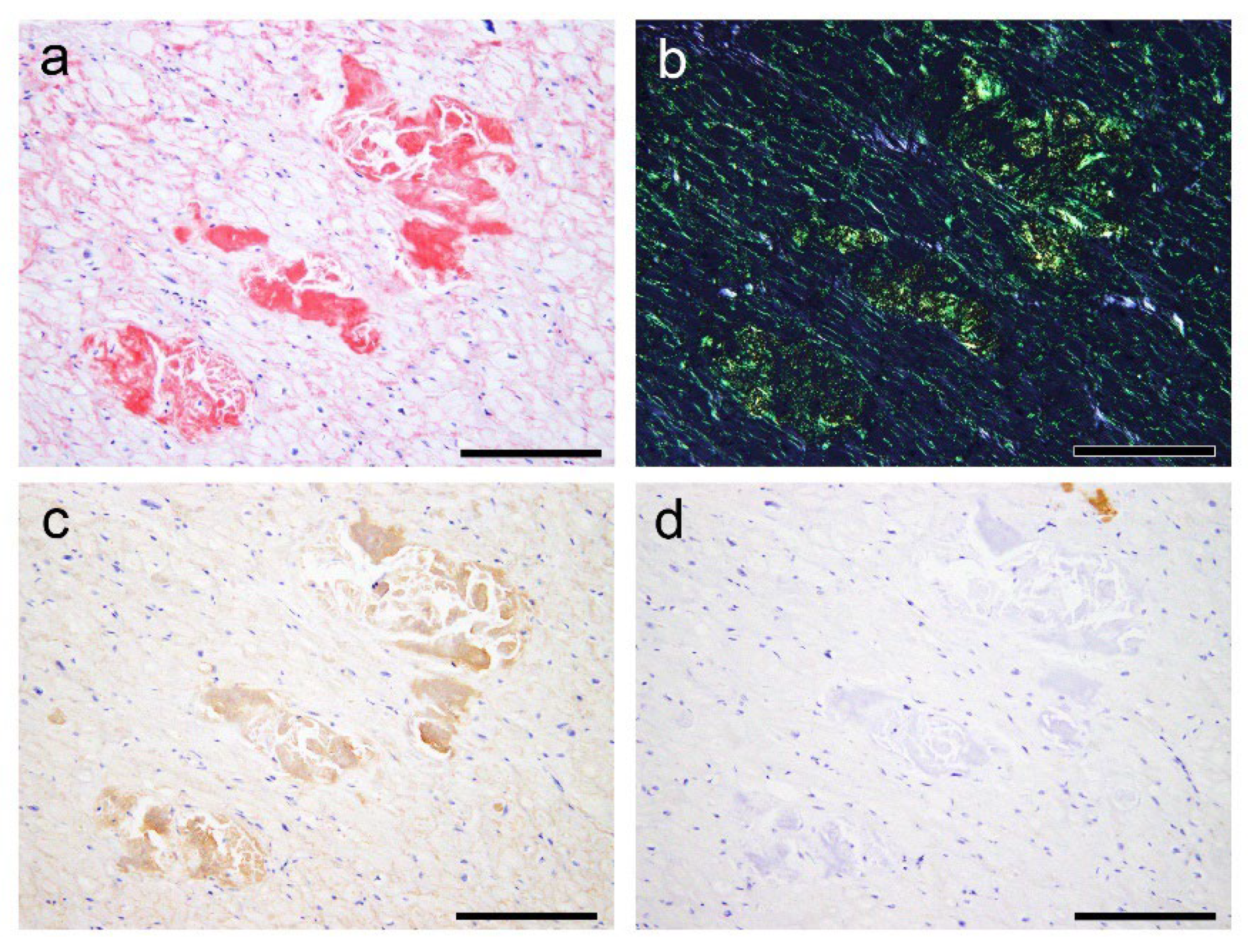 Preprints 111308 g007