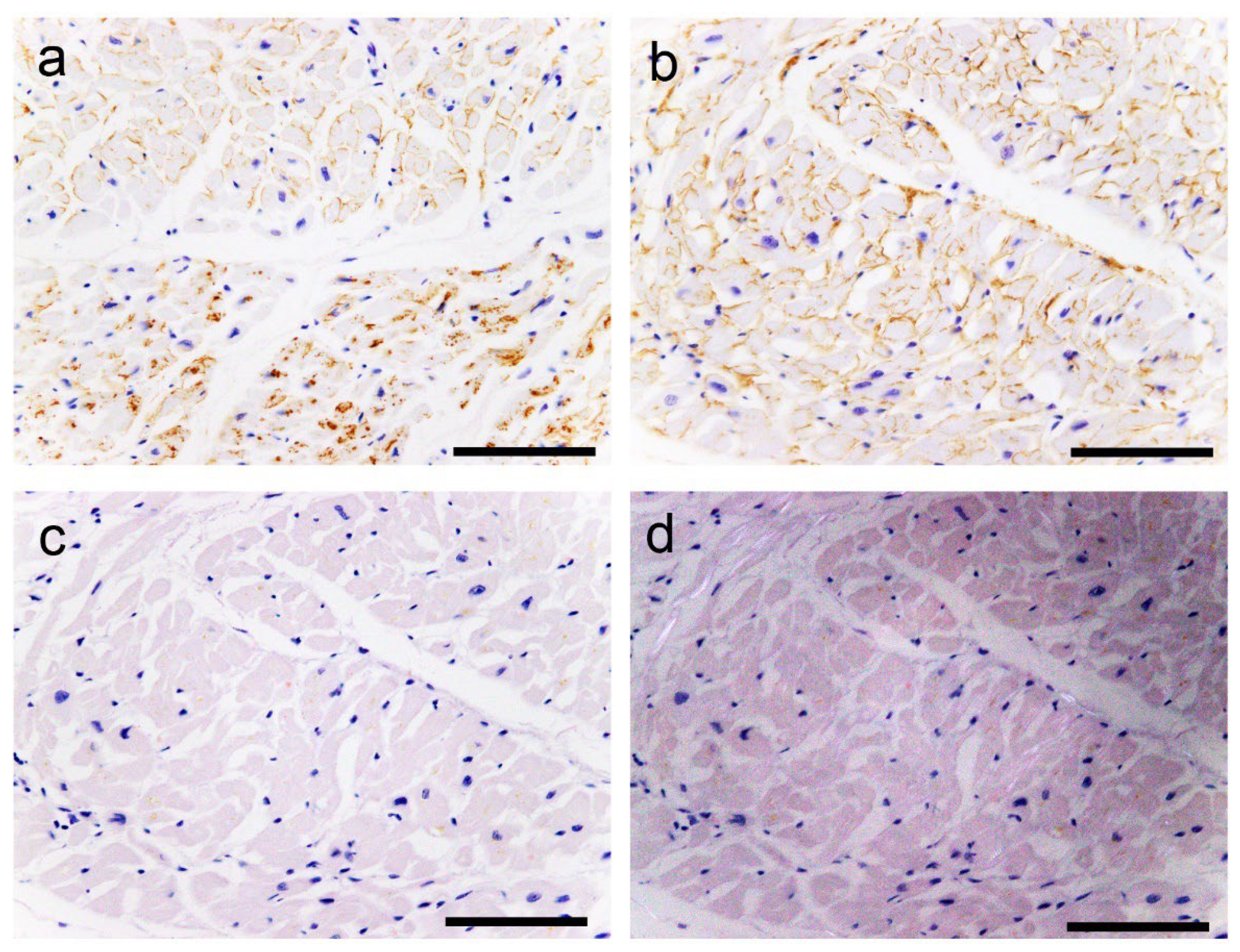 Preprints 111308 g009