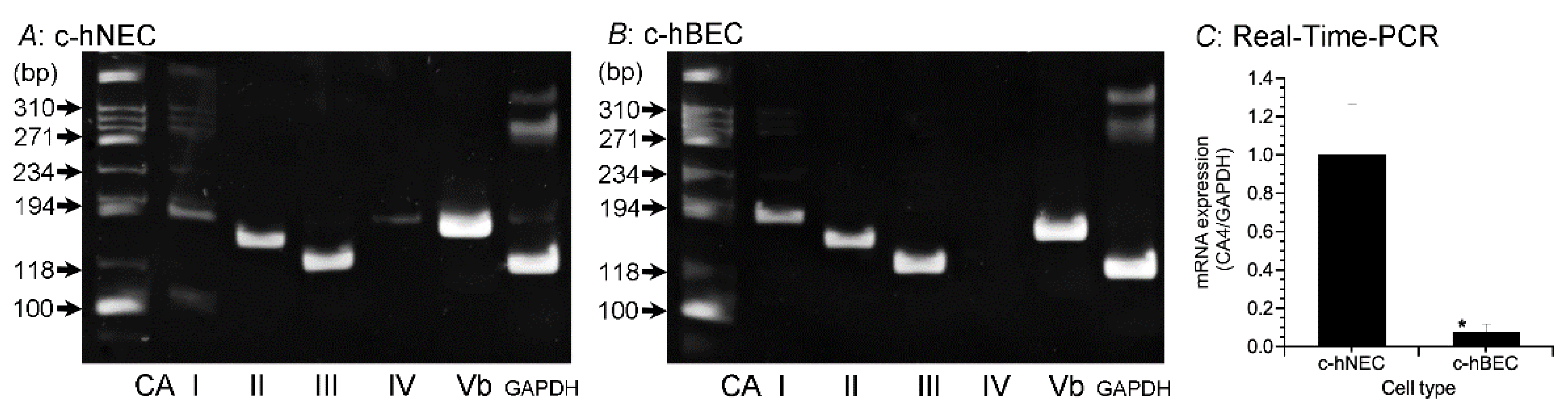 Preprints 110410 g001