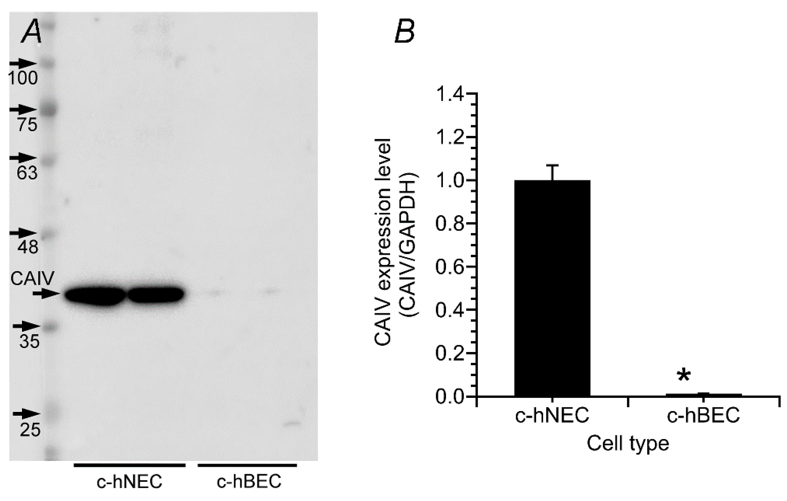 Preprints 110410 g002