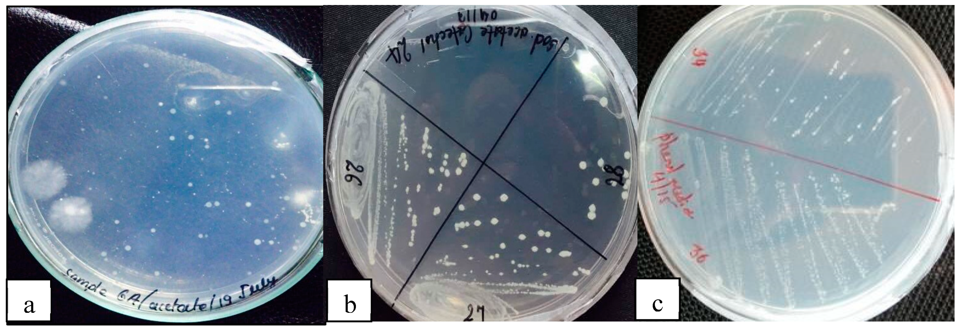 Preprints 81608 g002