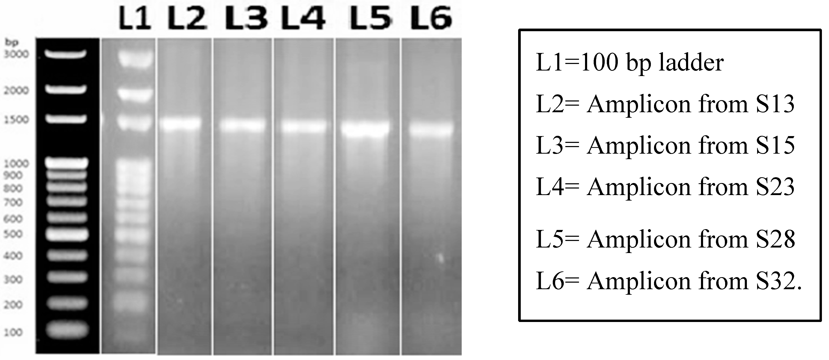 Preprints 81608 g003