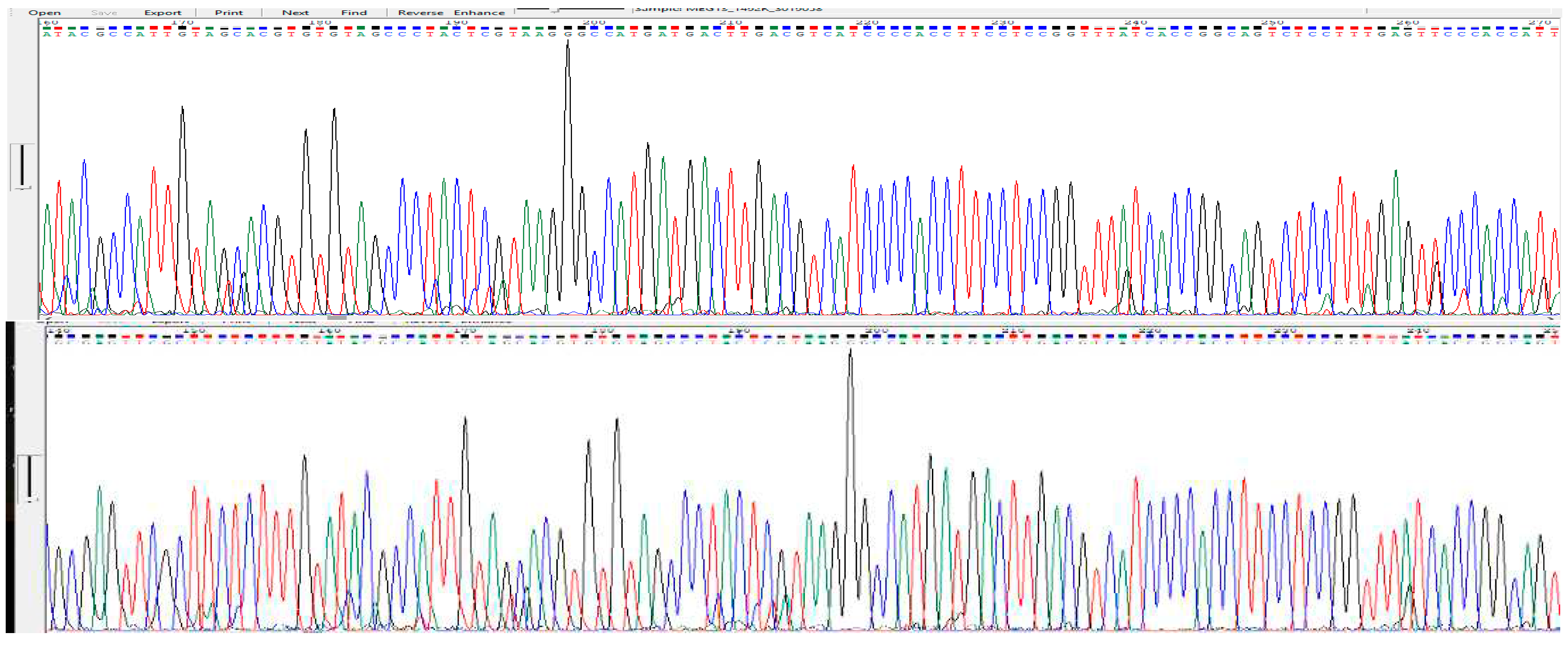 Preprints 81608 g004