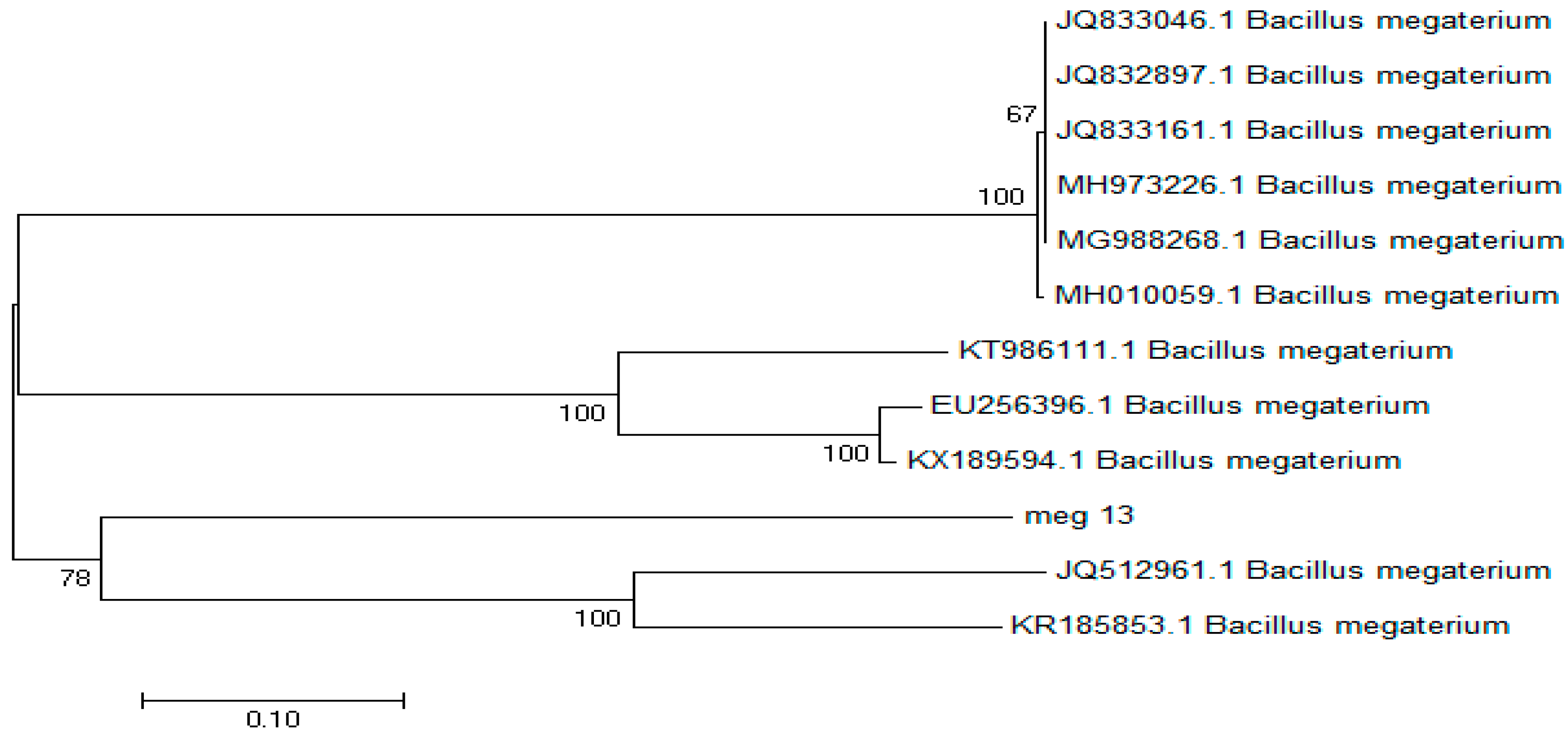 Preprints 81608 g005