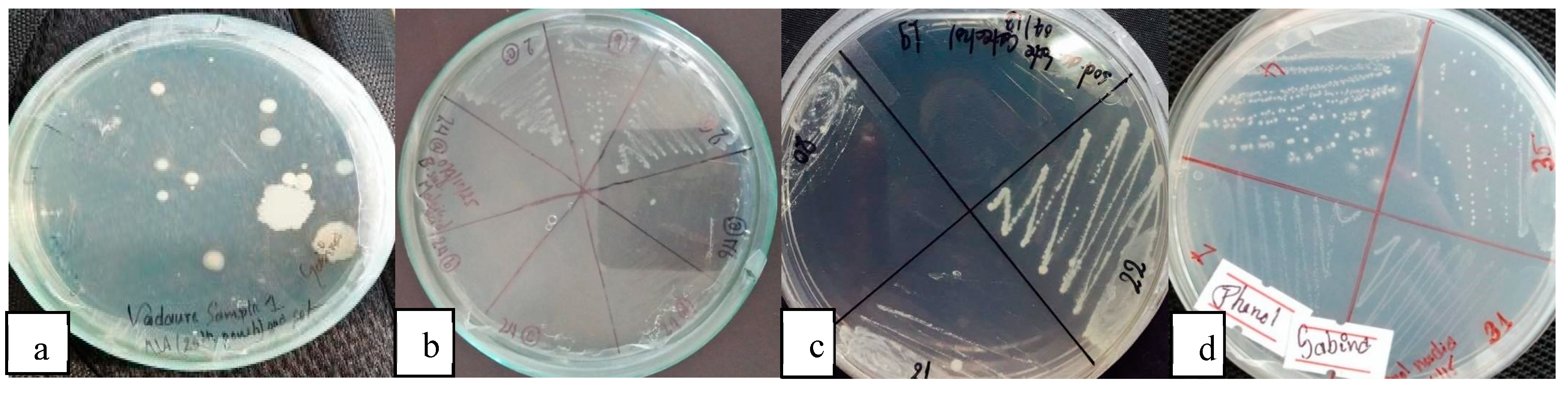 Preprints 81608 g006