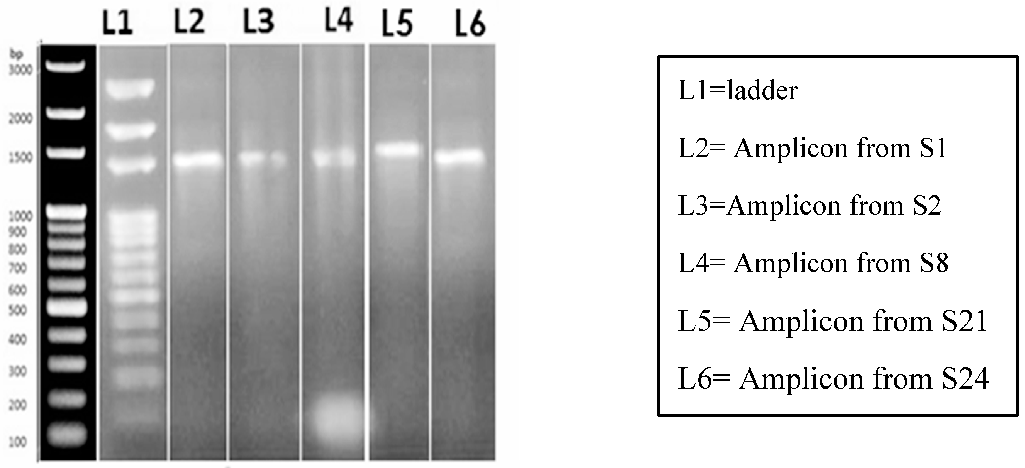 Preprints 81608 g007