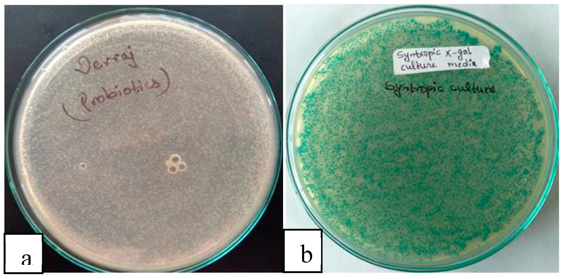 Preprints 81608 g011