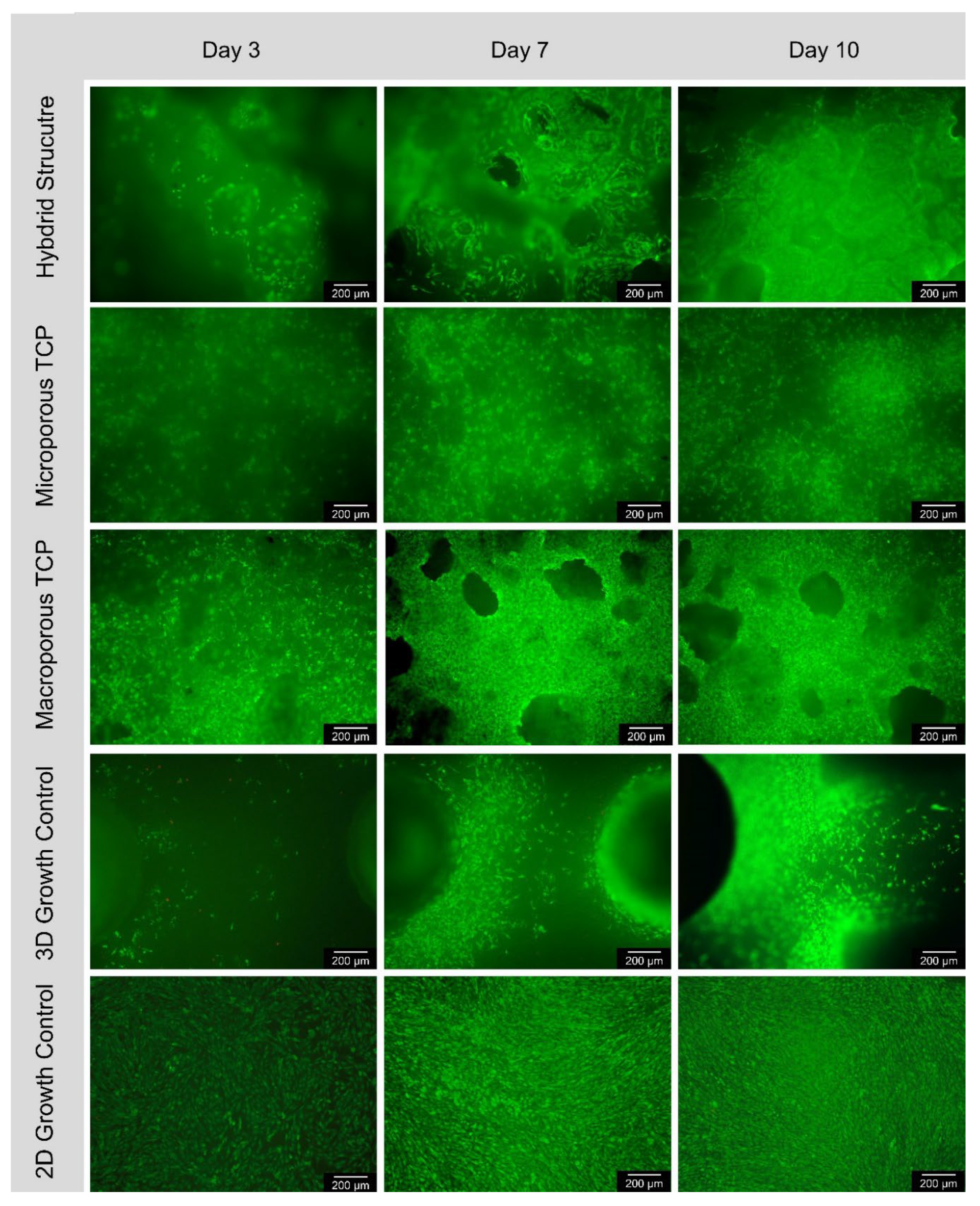 Preprints 105986 g003