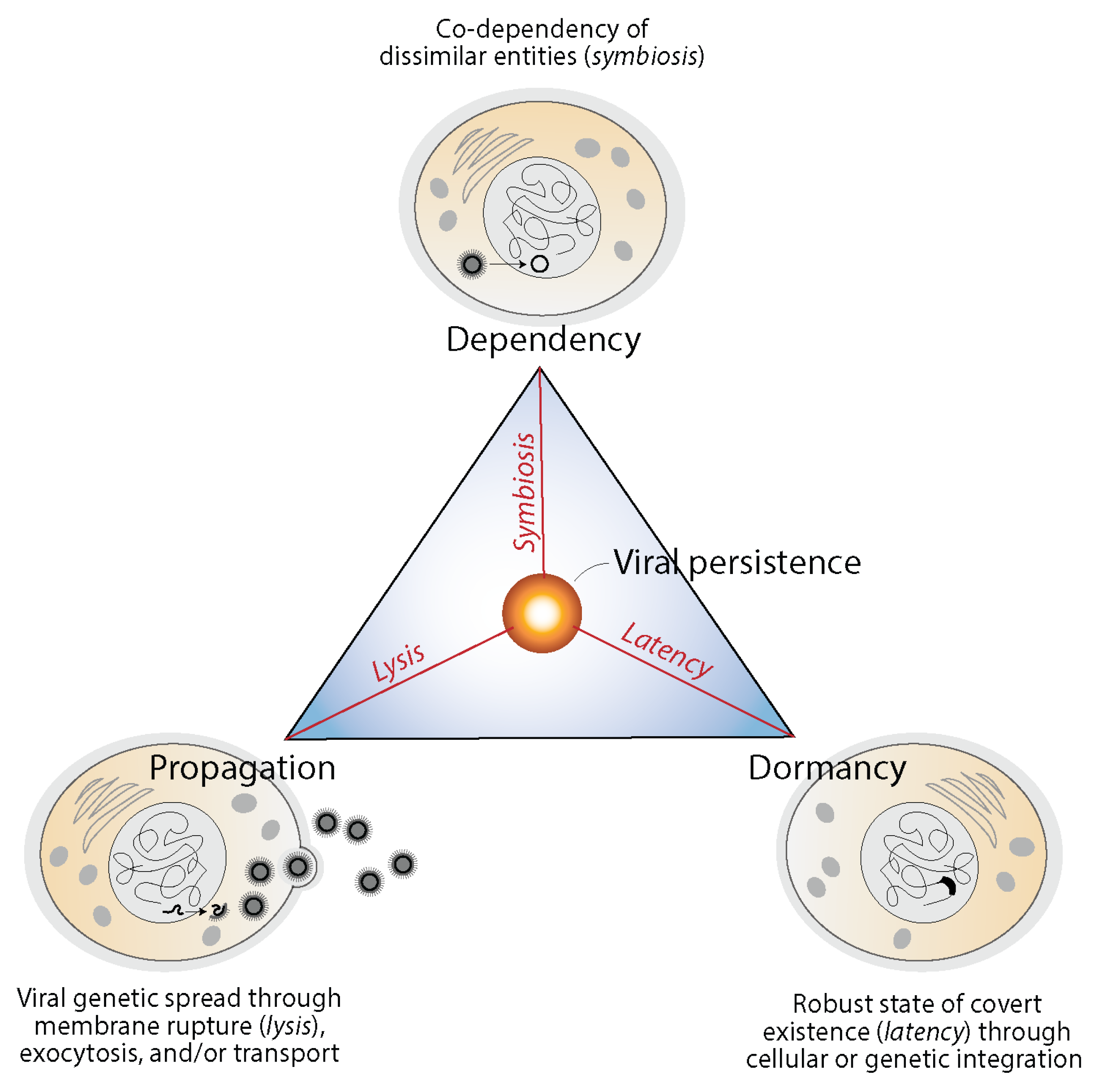 Preprints 108421 g007