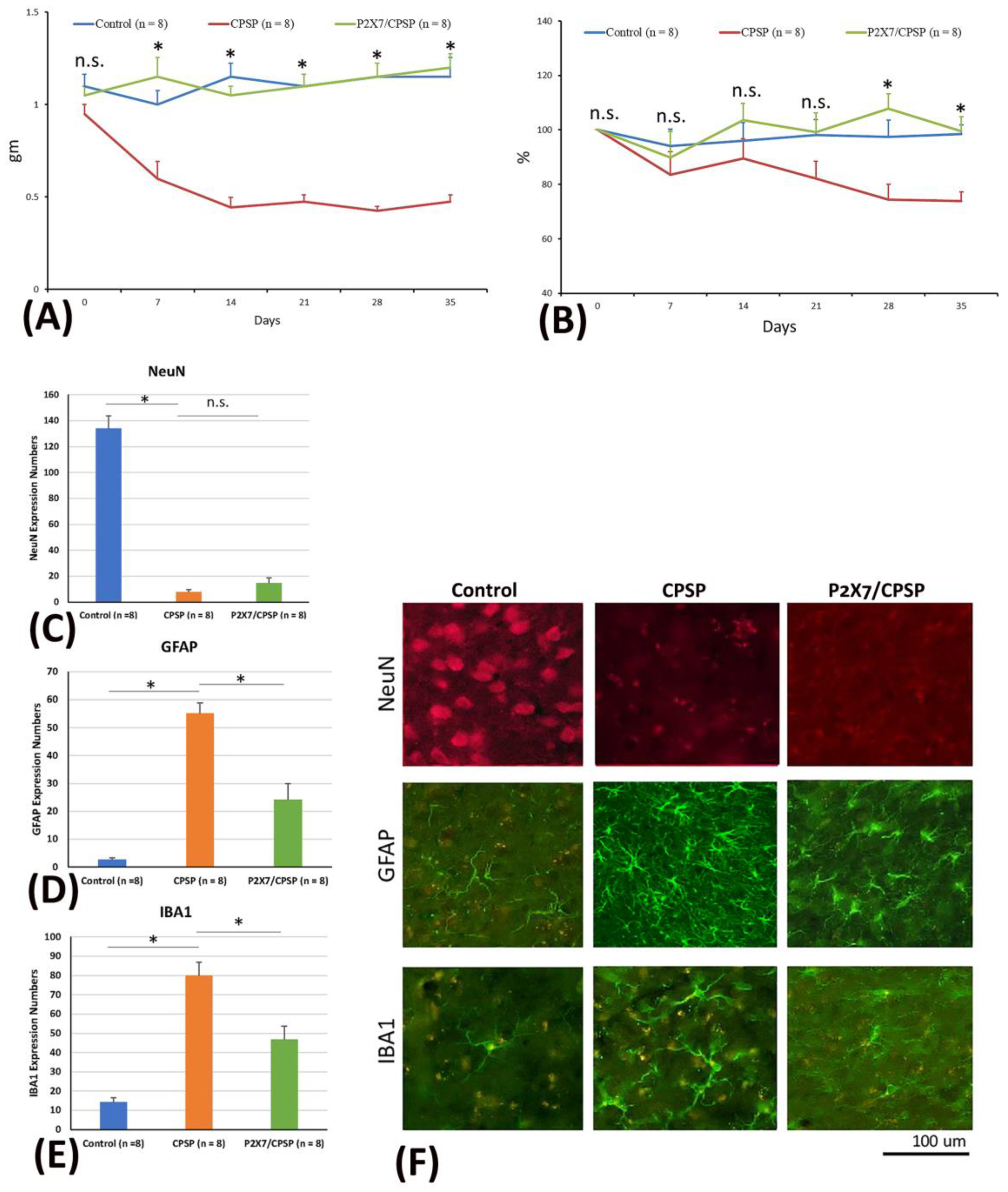 Preprints 98684 g001