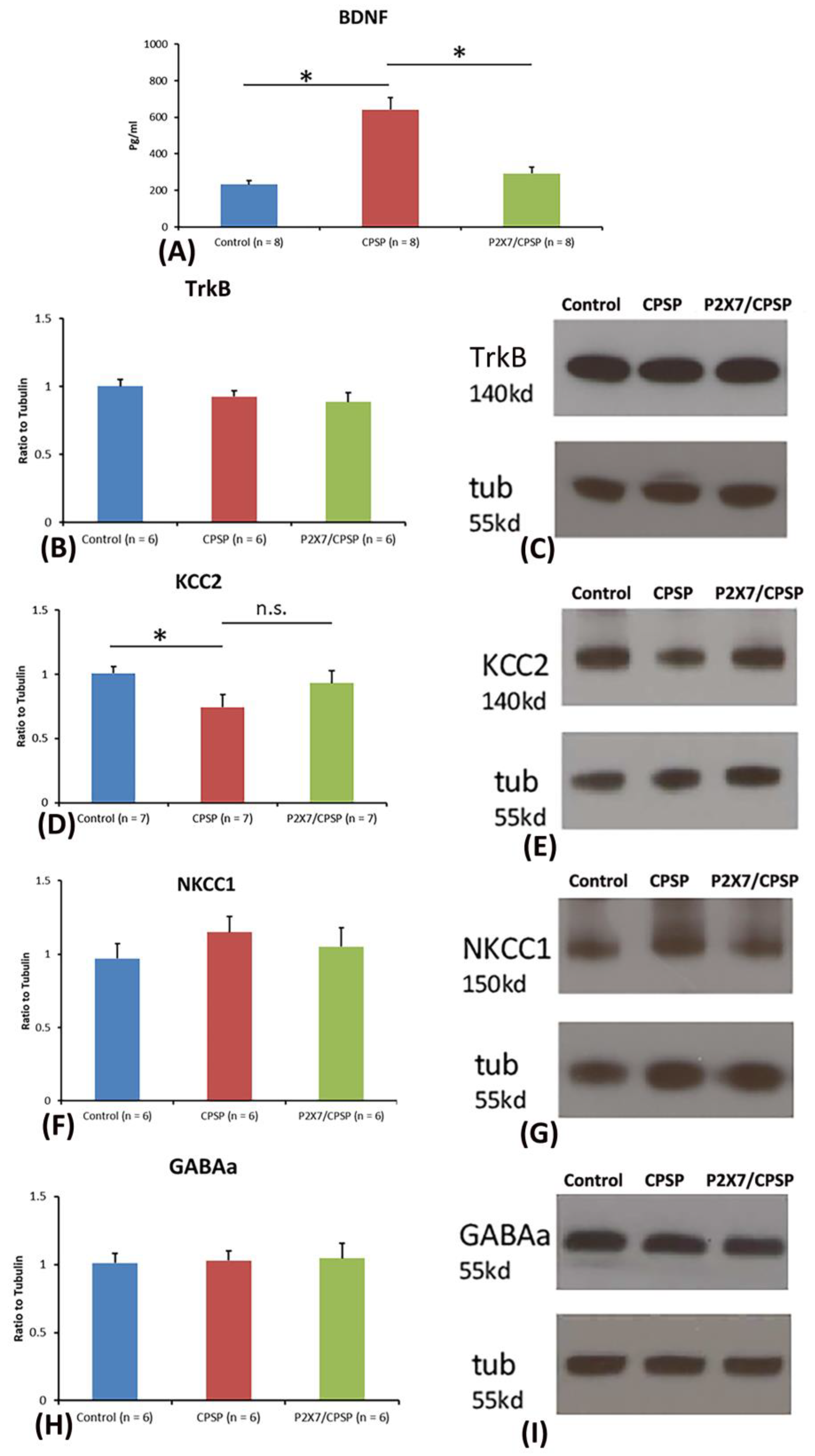 Preprints 98684 g004