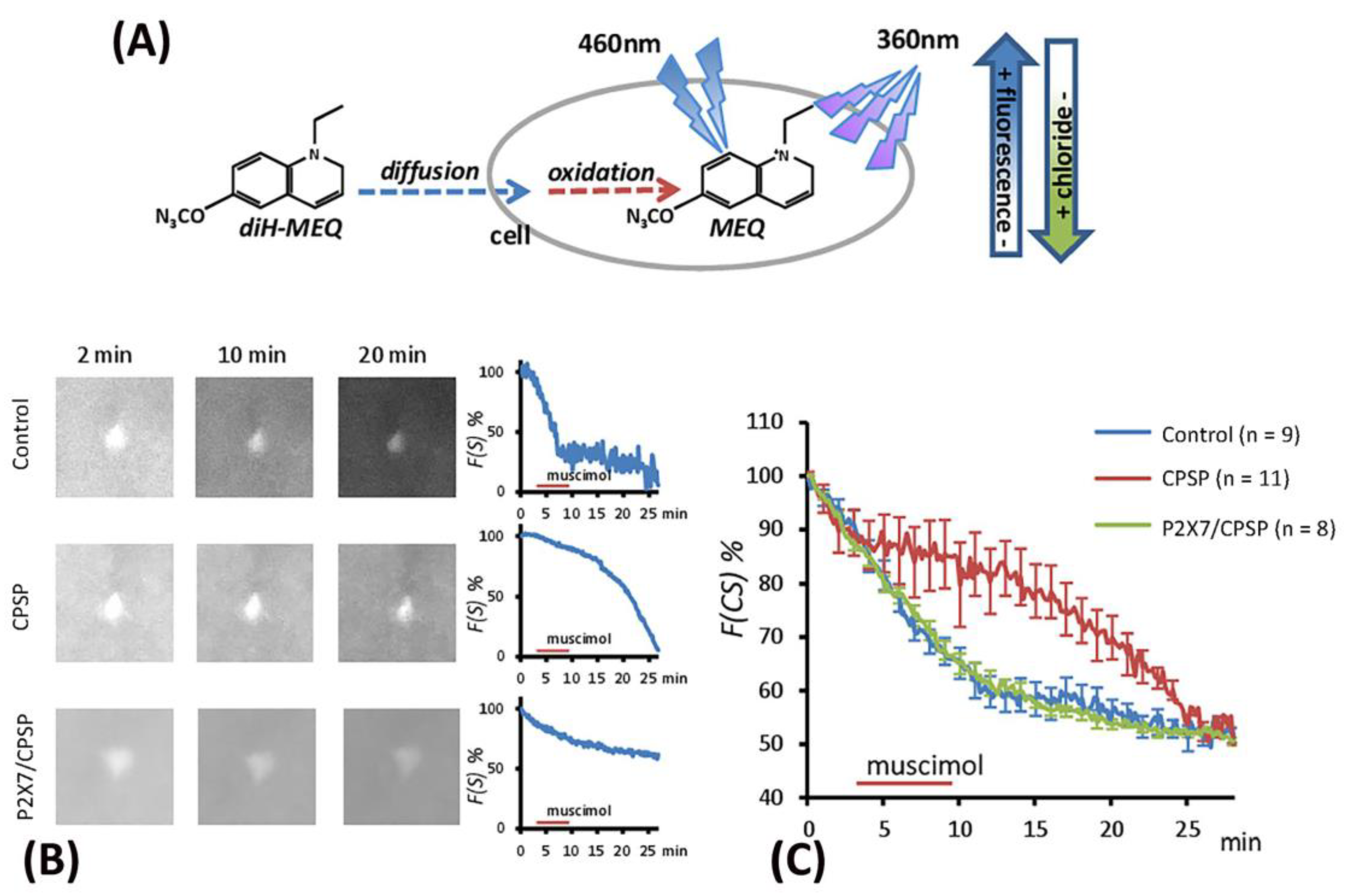 Preprints 98684 g006