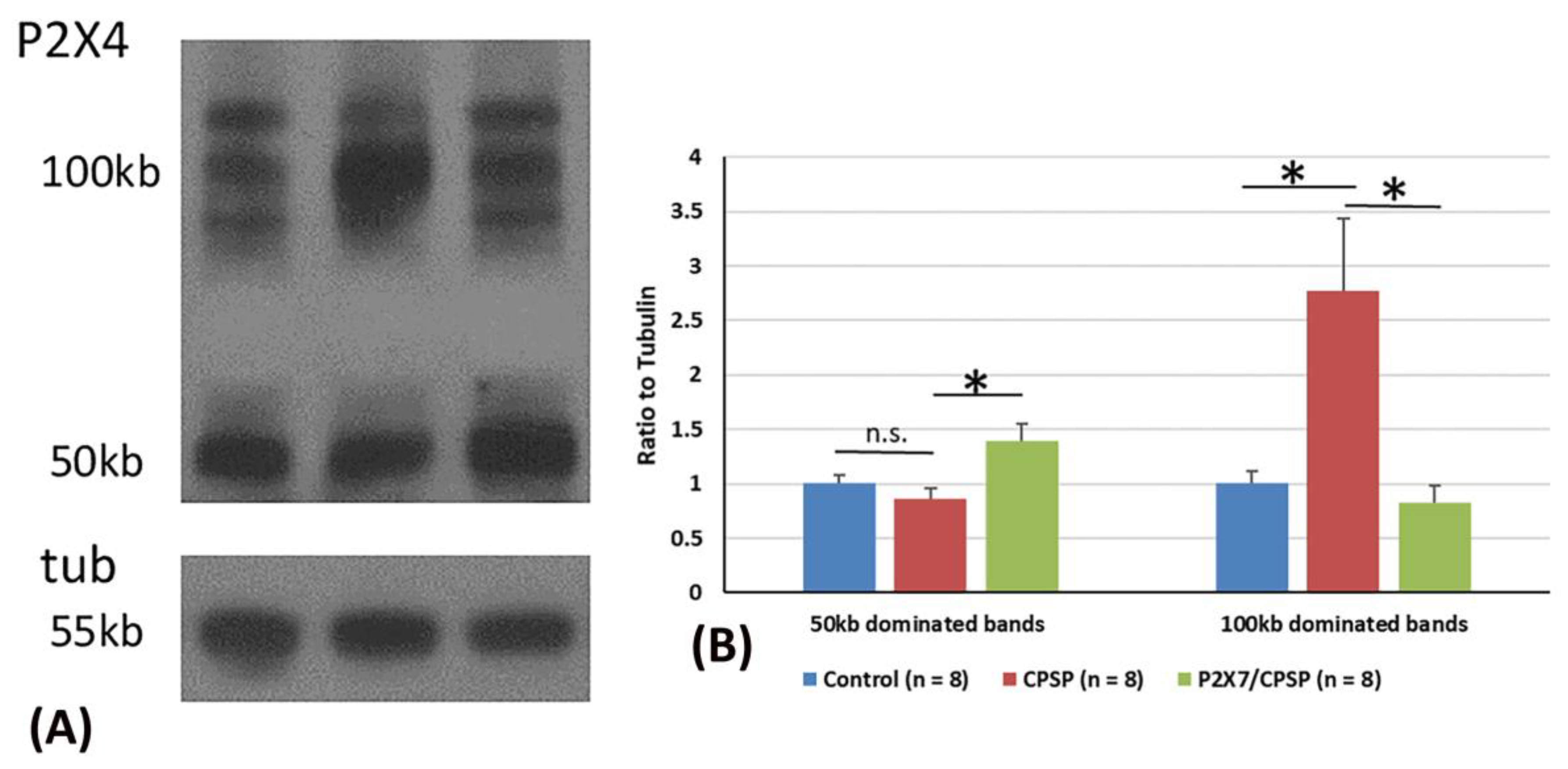 Preprints 98684 g007