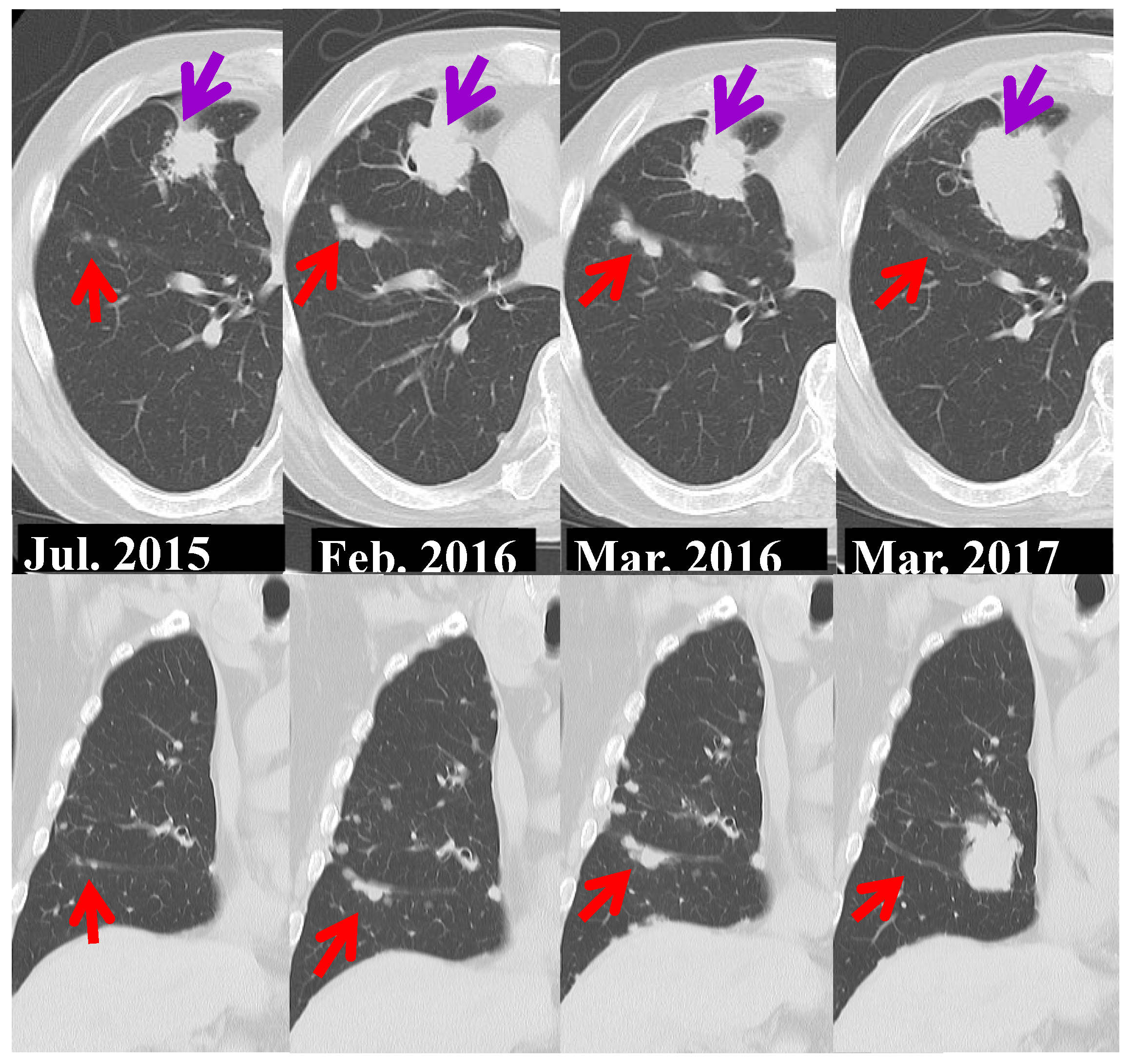 Preprints 66593 g005