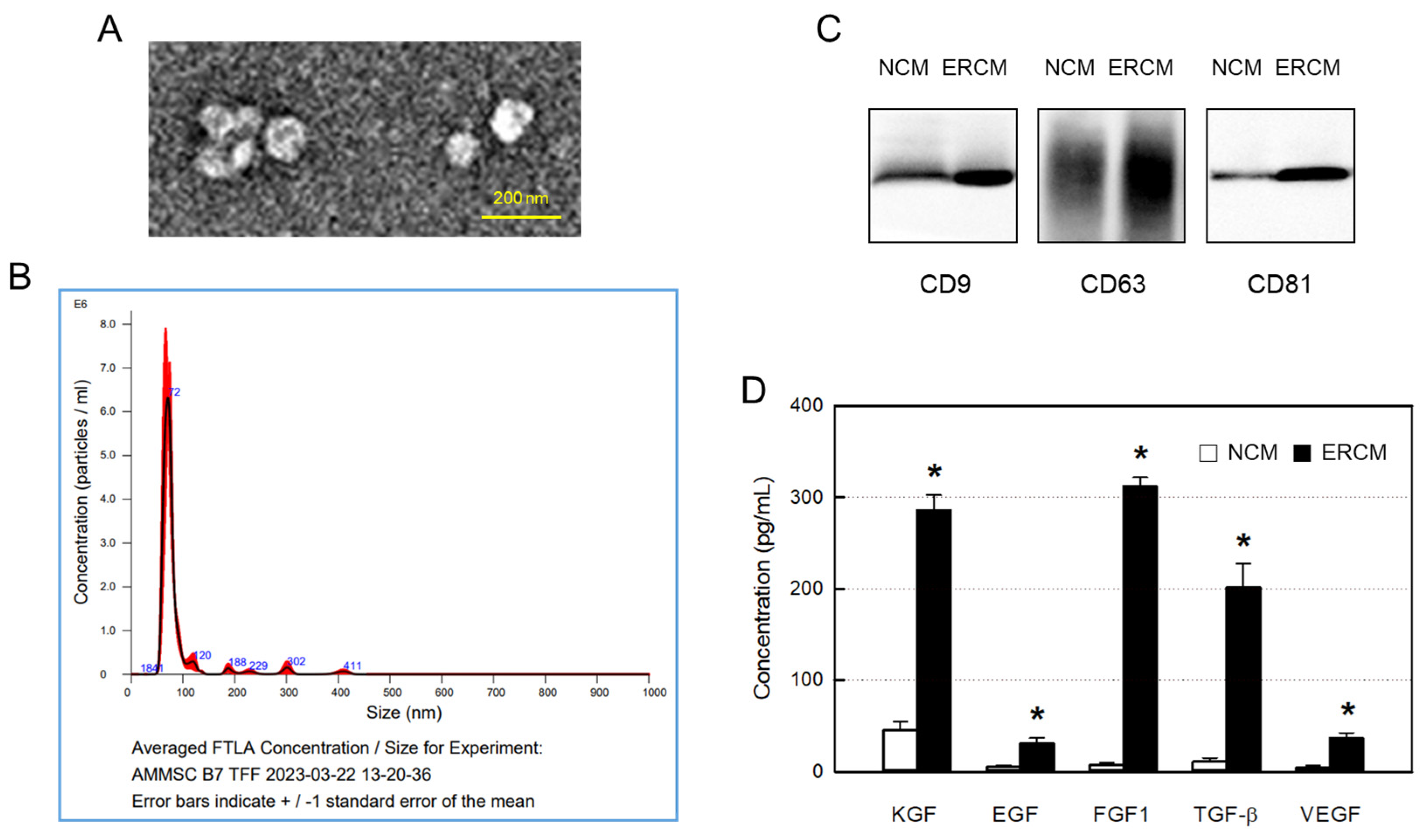 Preprints 90759 g001