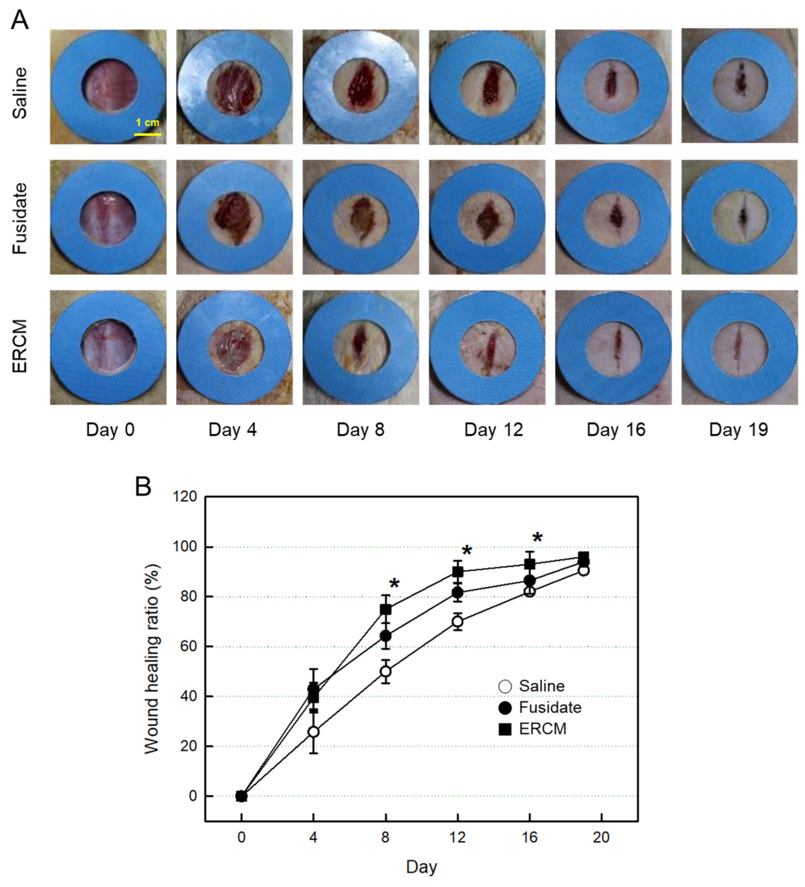 Preprints 90759 g005