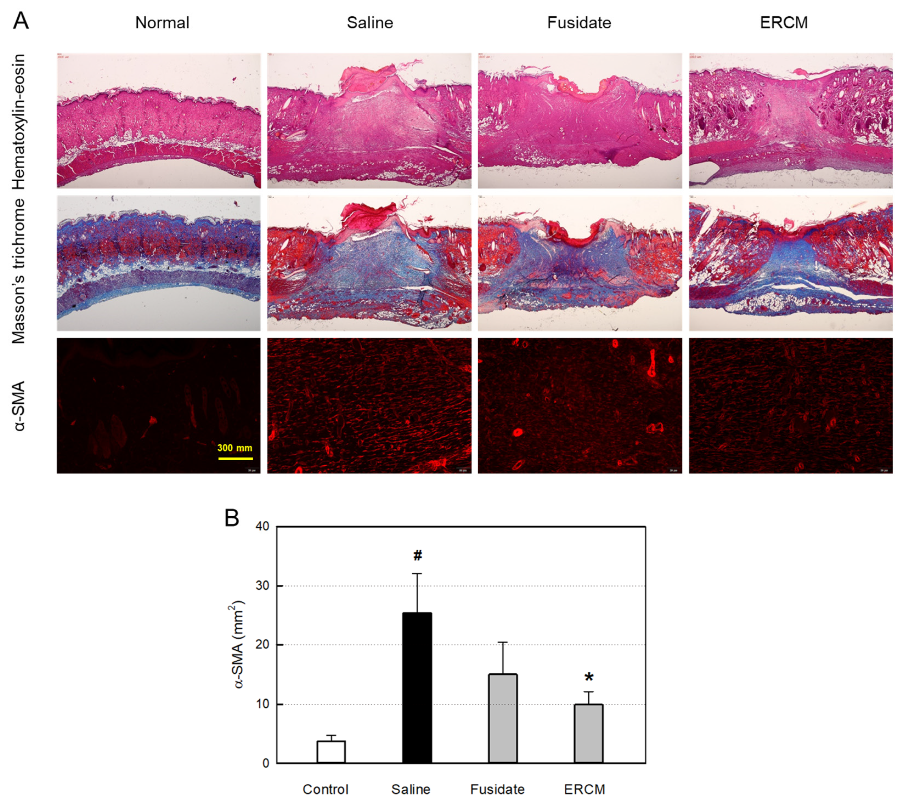 Preprints 90759 g006