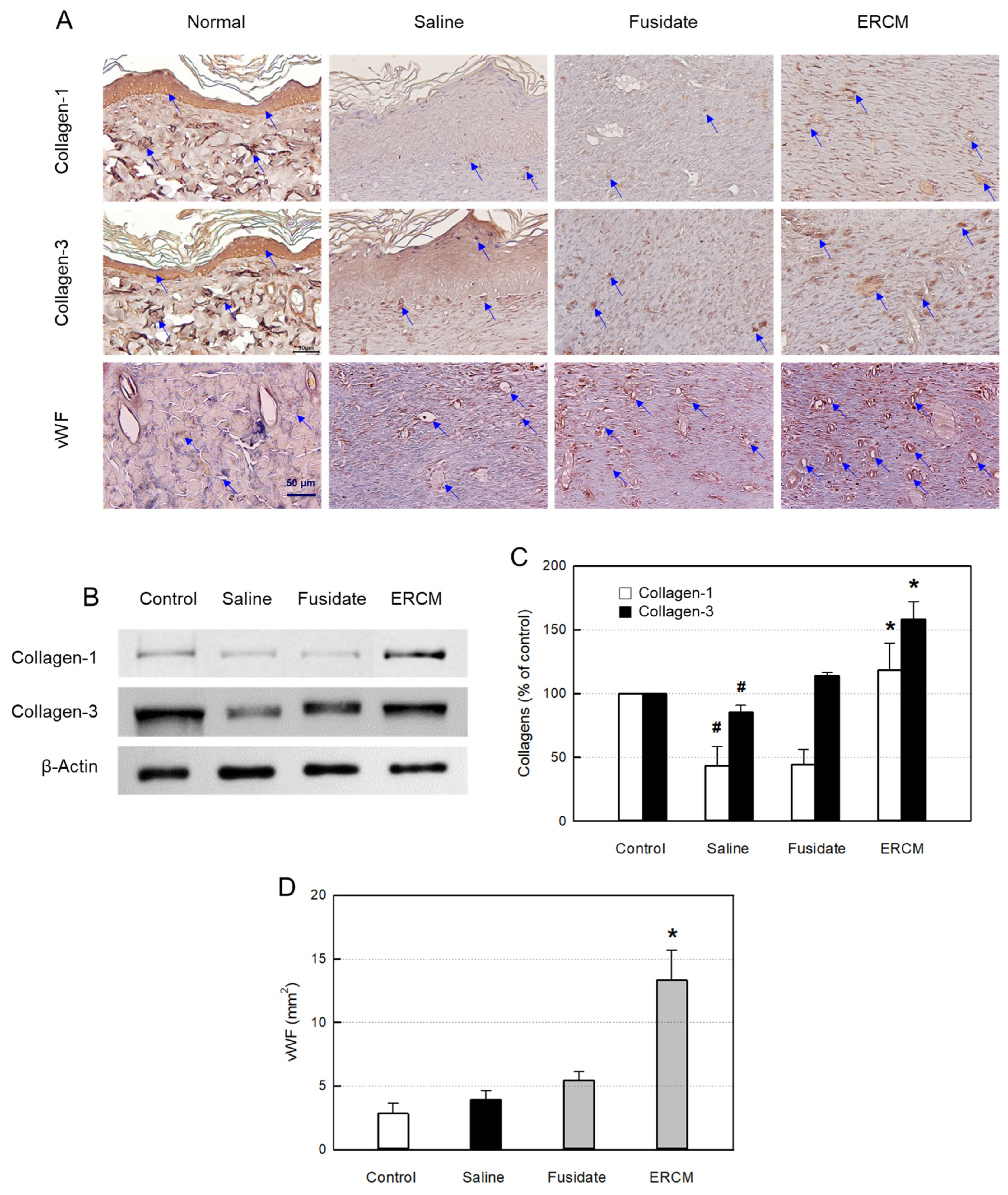 Preprints 90759 g007