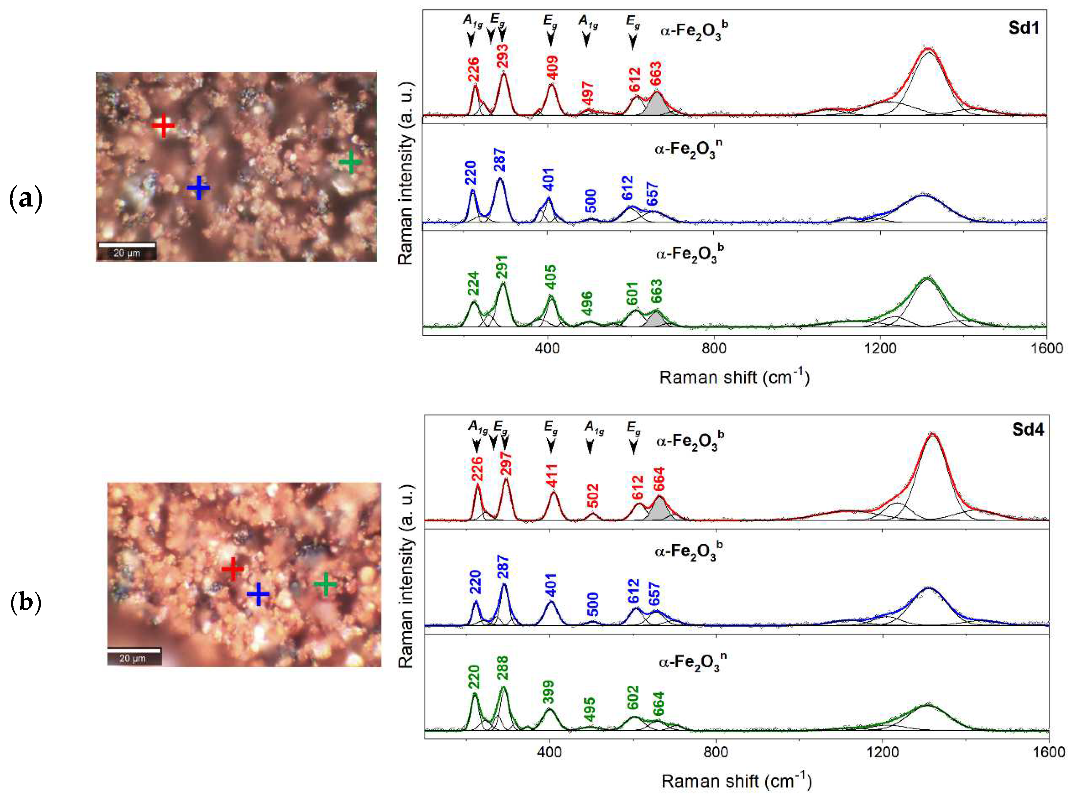 Preprints 95457 g002