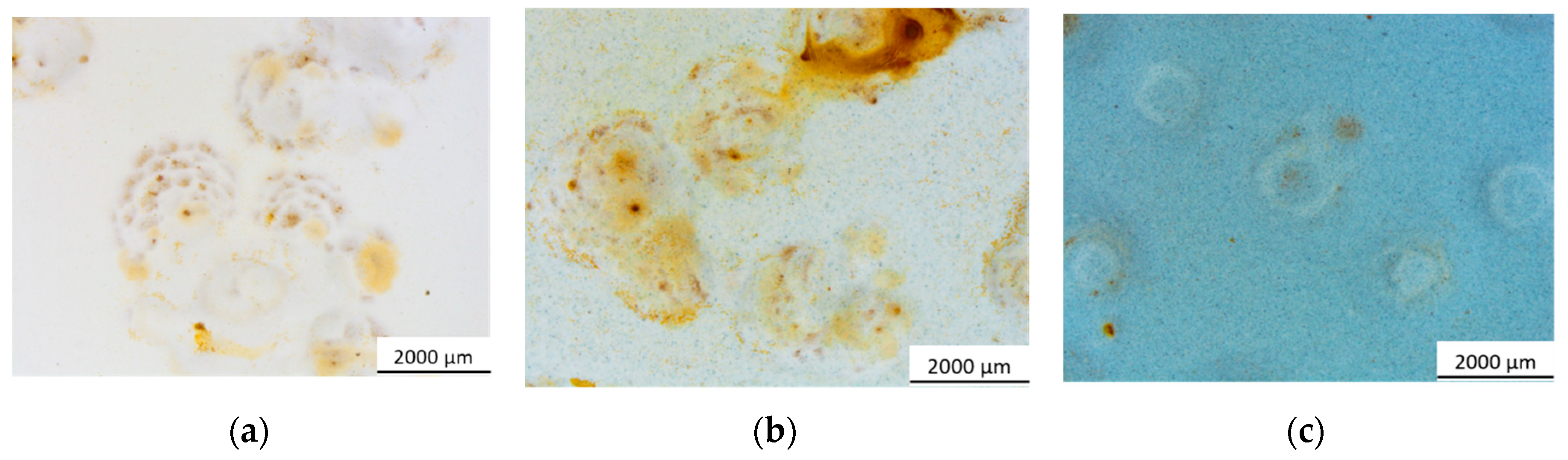 Preprints 96642 g007