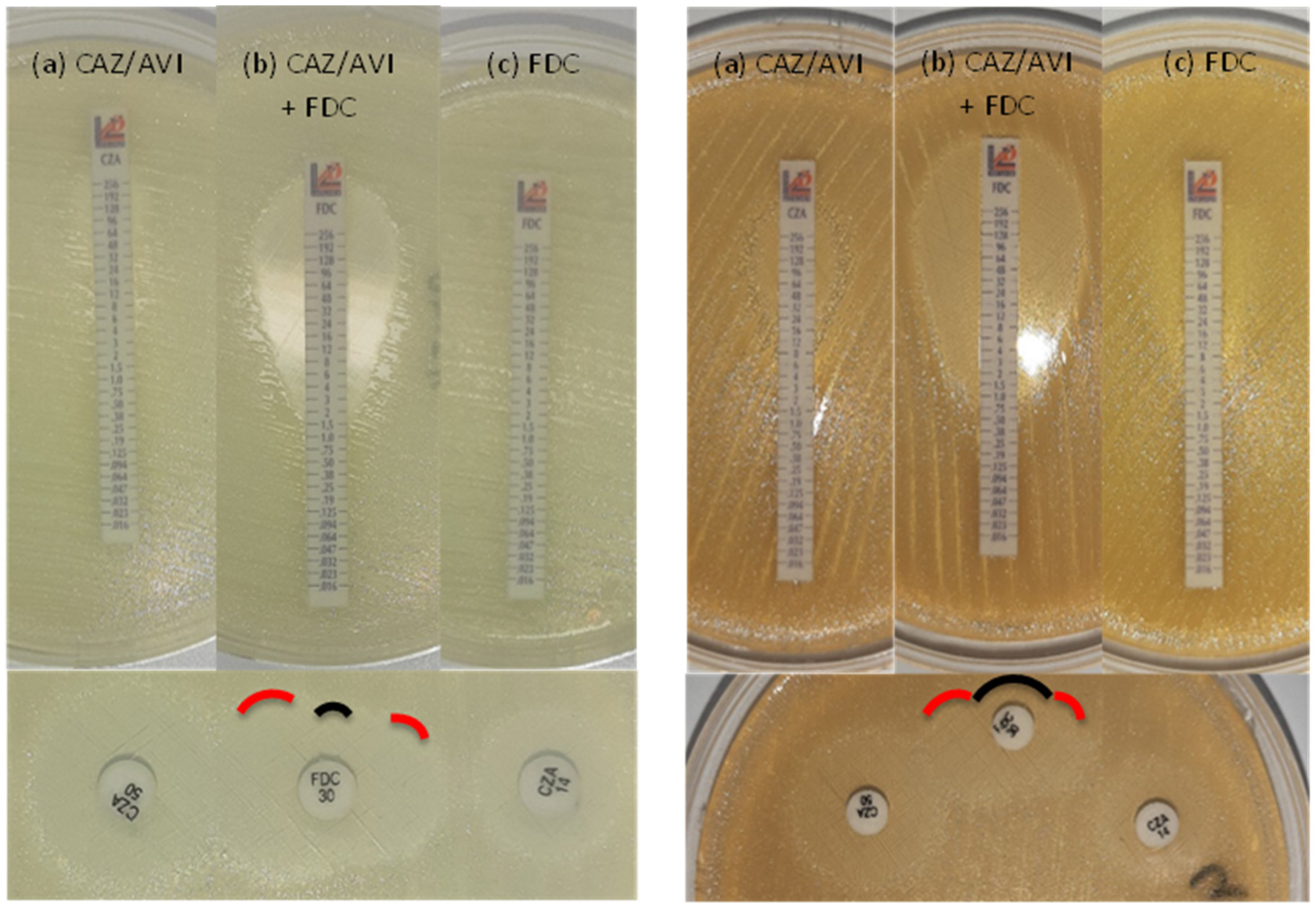 Preprints 77248 g004